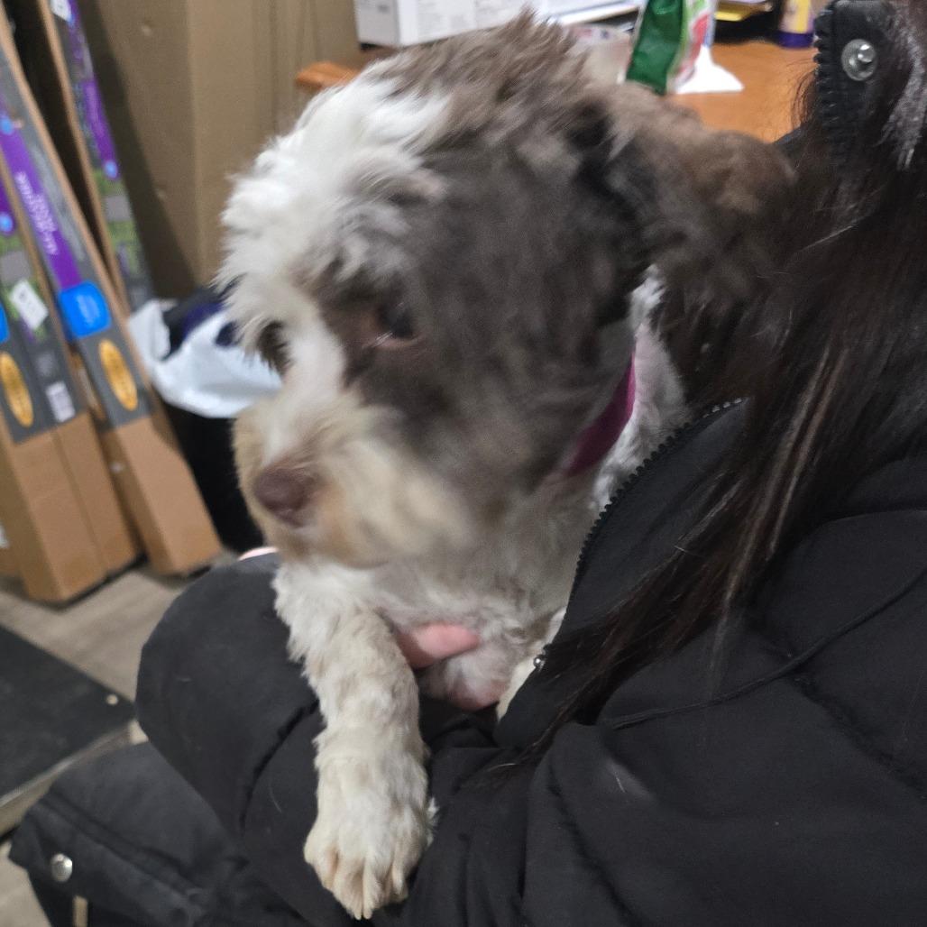 Winter A thumbnail 4