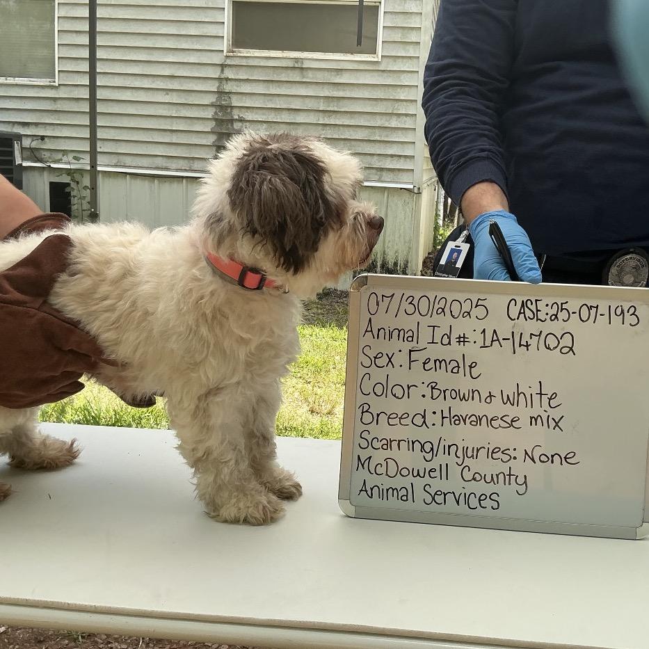 Winter A thumbnail 5