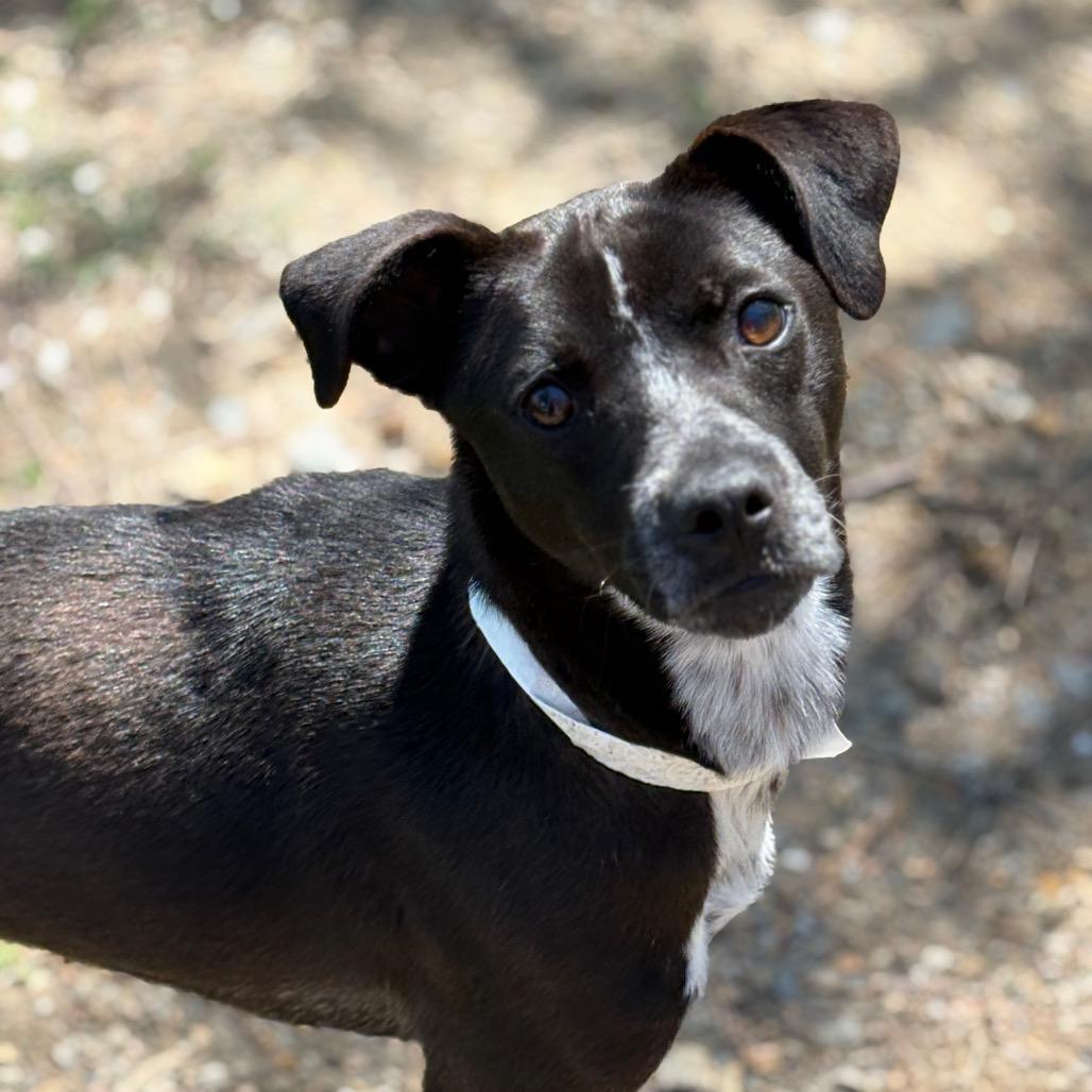 Timmy — thumbnail 2