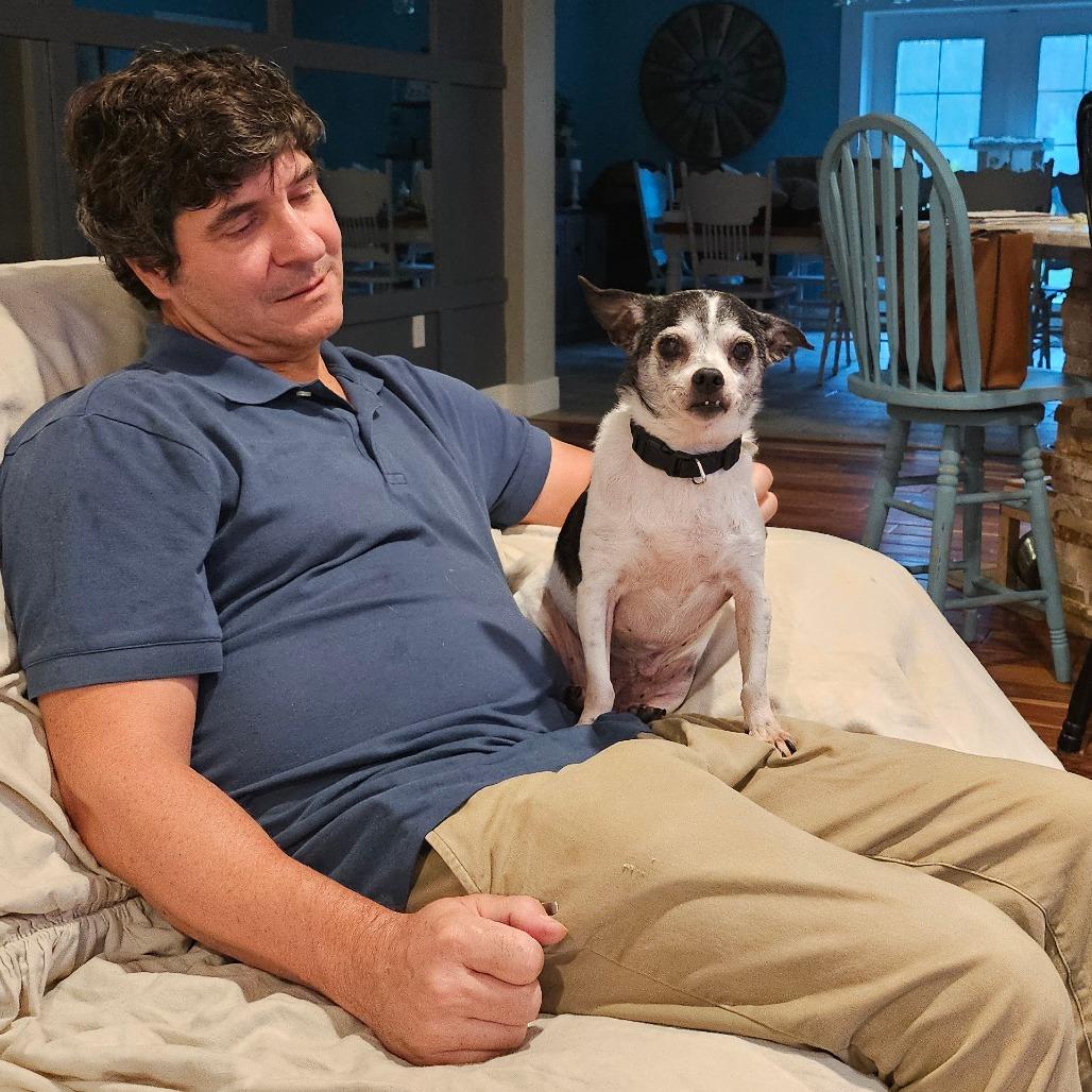 Henrietta, Adoptable, Senior Female Chihuahua & Mixed Breed.