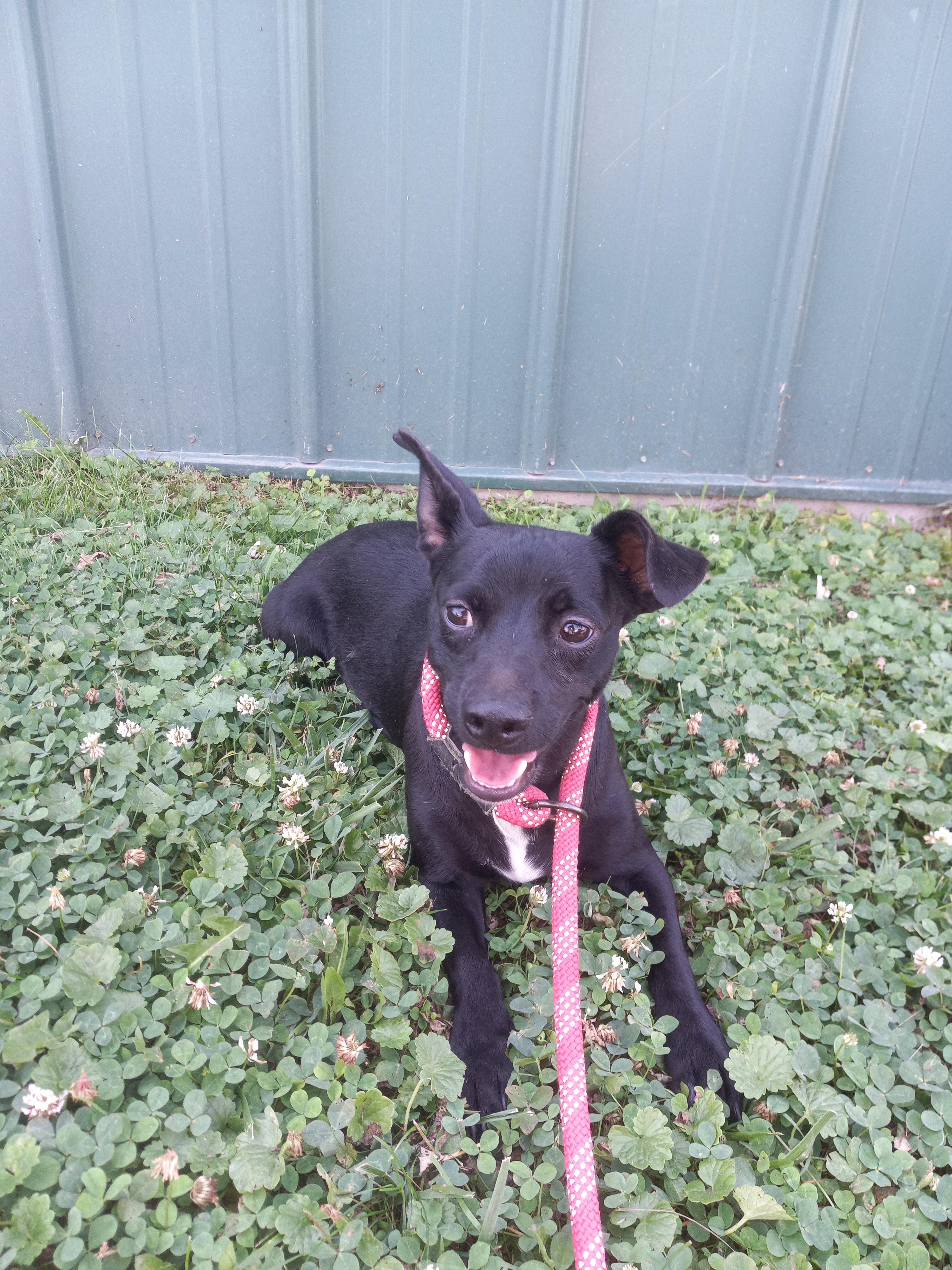 Marty photo 3