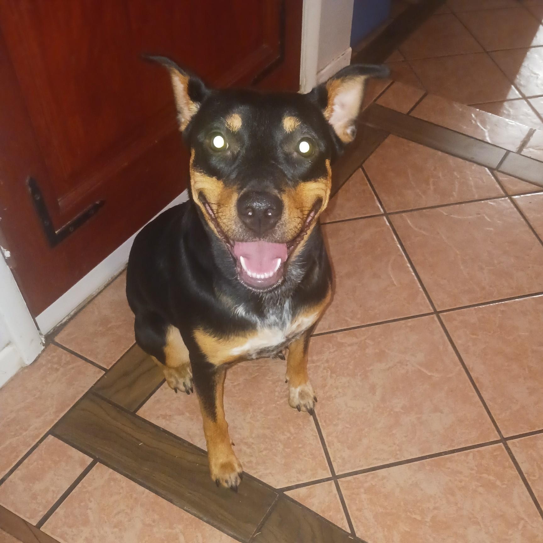 NOVA photo 4