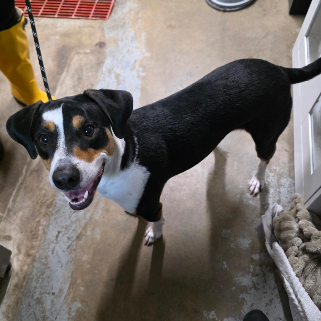 Waffle — thumbnail 6