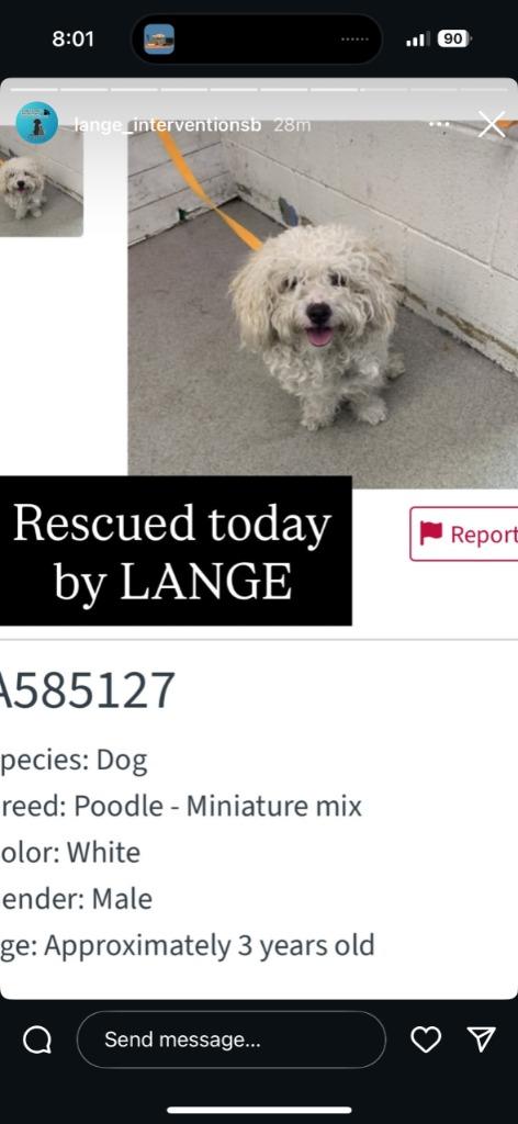 Wylie — thumbnail 2