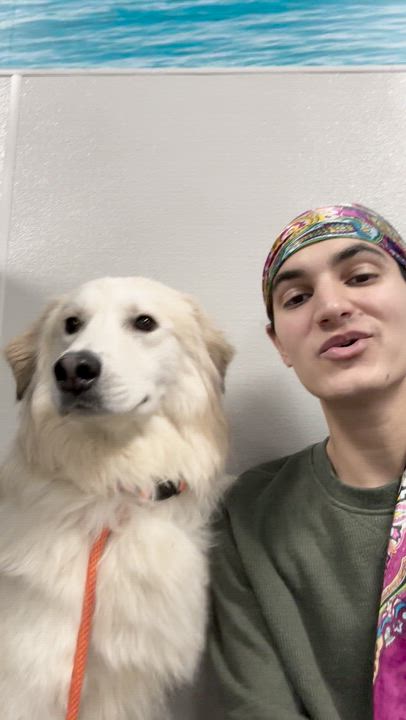 Enlarge Koda, a Adoptable mixed breed in Aurora, ON video 2/6