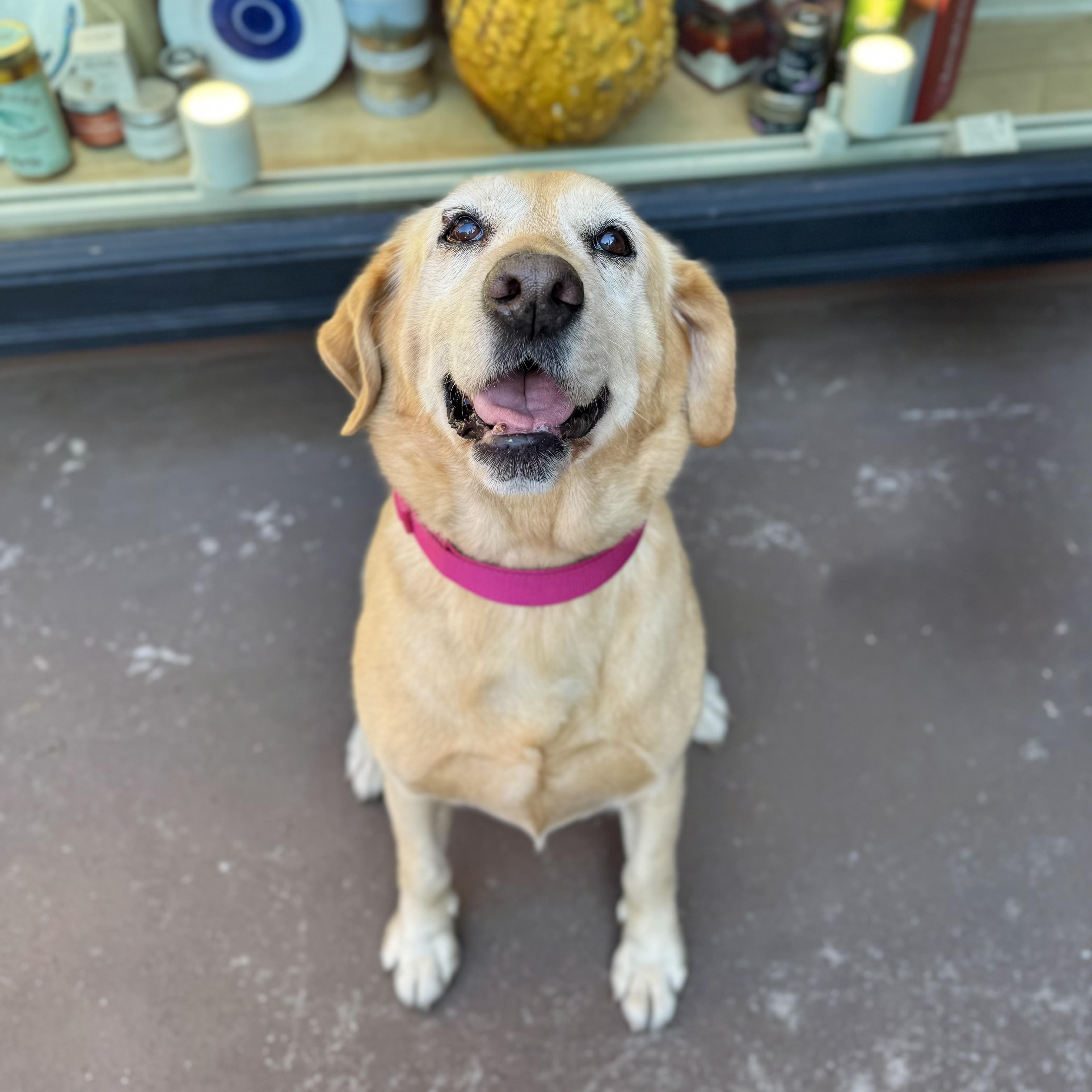 Fleece Blanket thumbnail 5