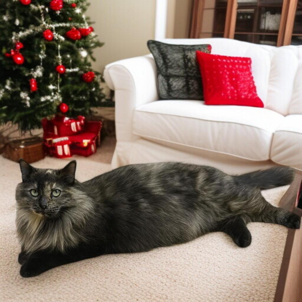 Charlotte — A Warm, Whiskered Touch of Christmas Magic