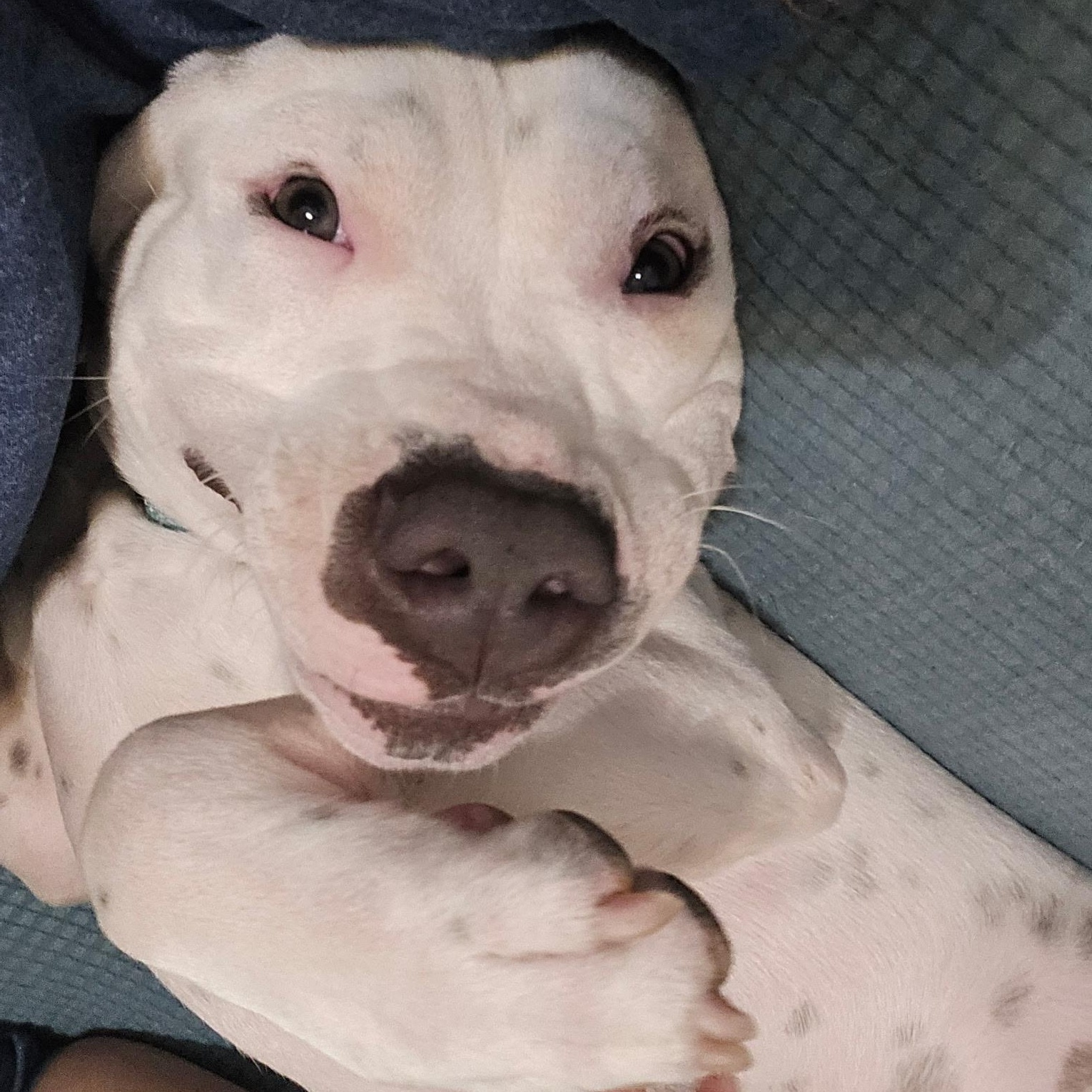 Jorge — thumbnail 6