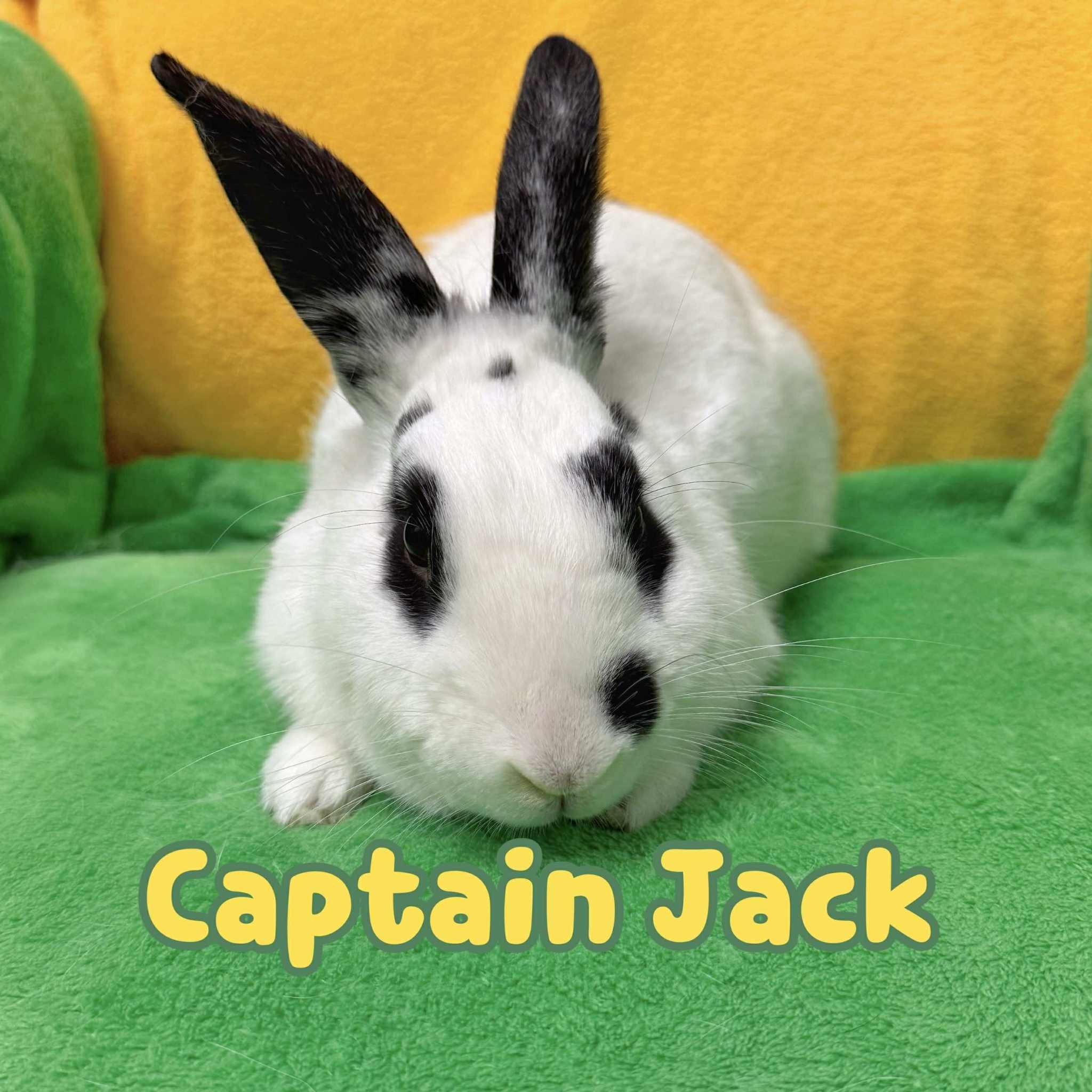 Captain Jack, Young Male unknown