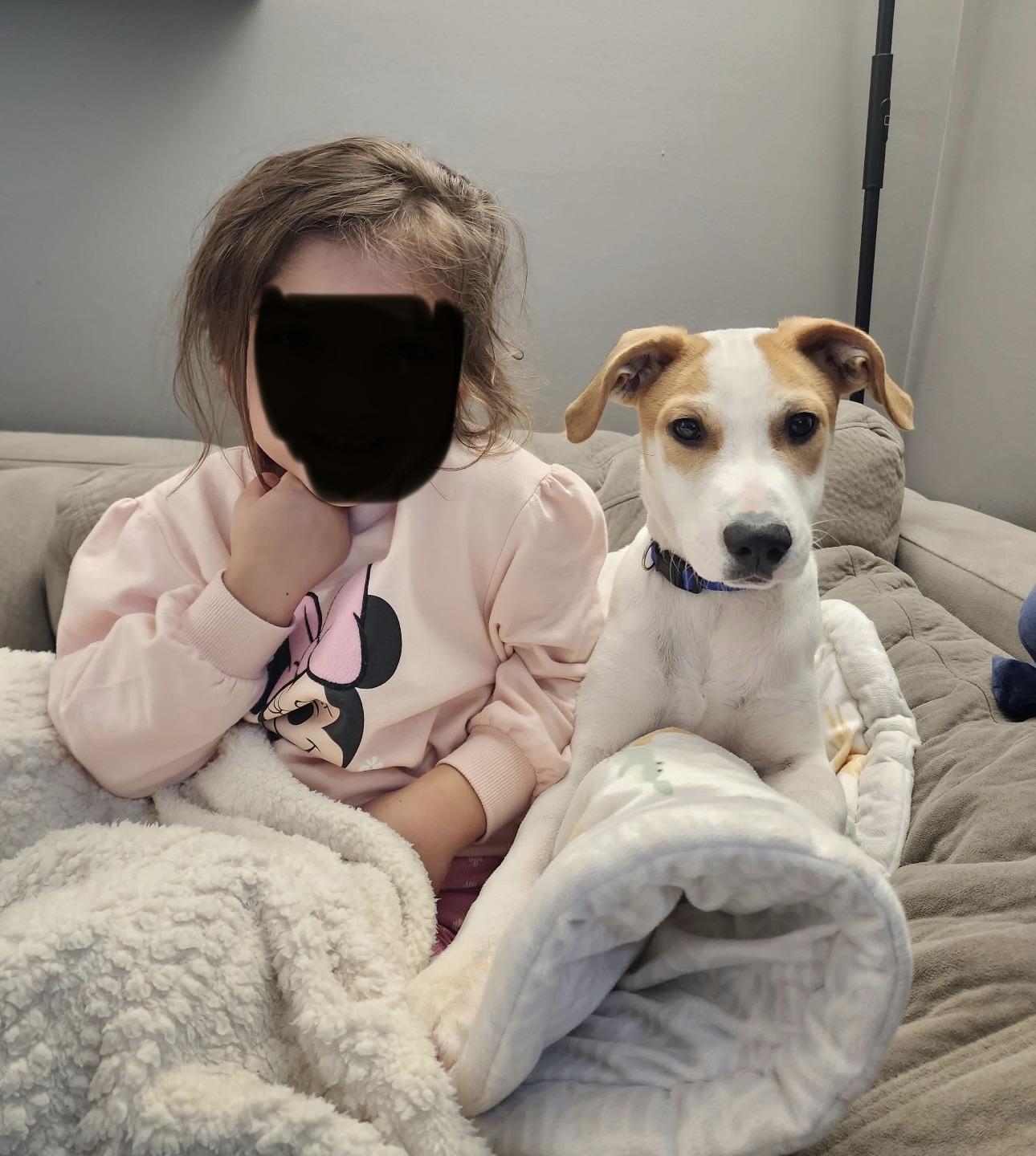 Enlarge PINTO - loves kids, an adopted mixed breed in Pasadena, MD image 2/6