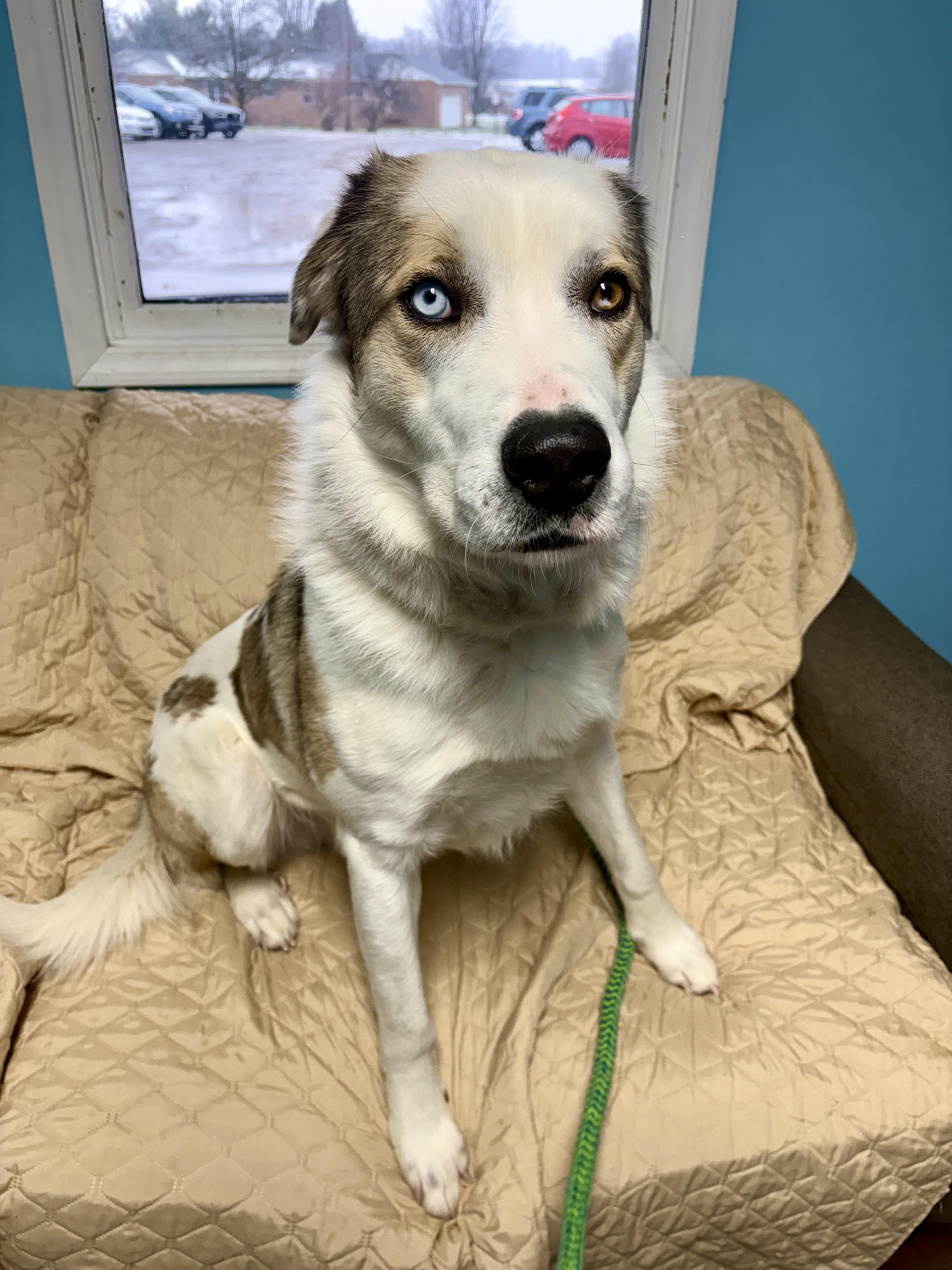 Schantzie thumbnail 2