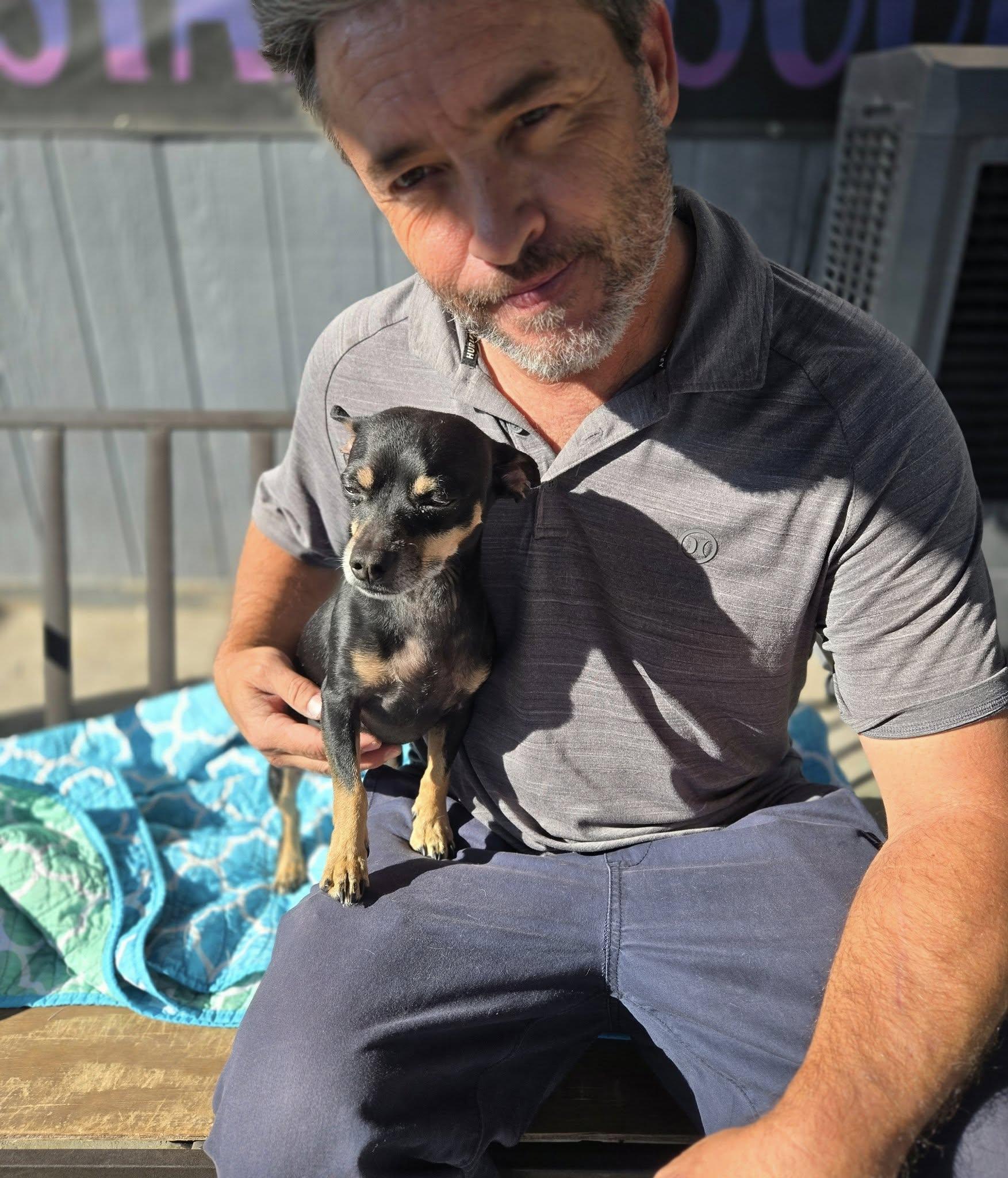 Tiny Tim, a ADOPTABLE mixed breed in Phoenix, AZ image 2/3