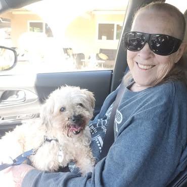 Bentley — thumbnail 2