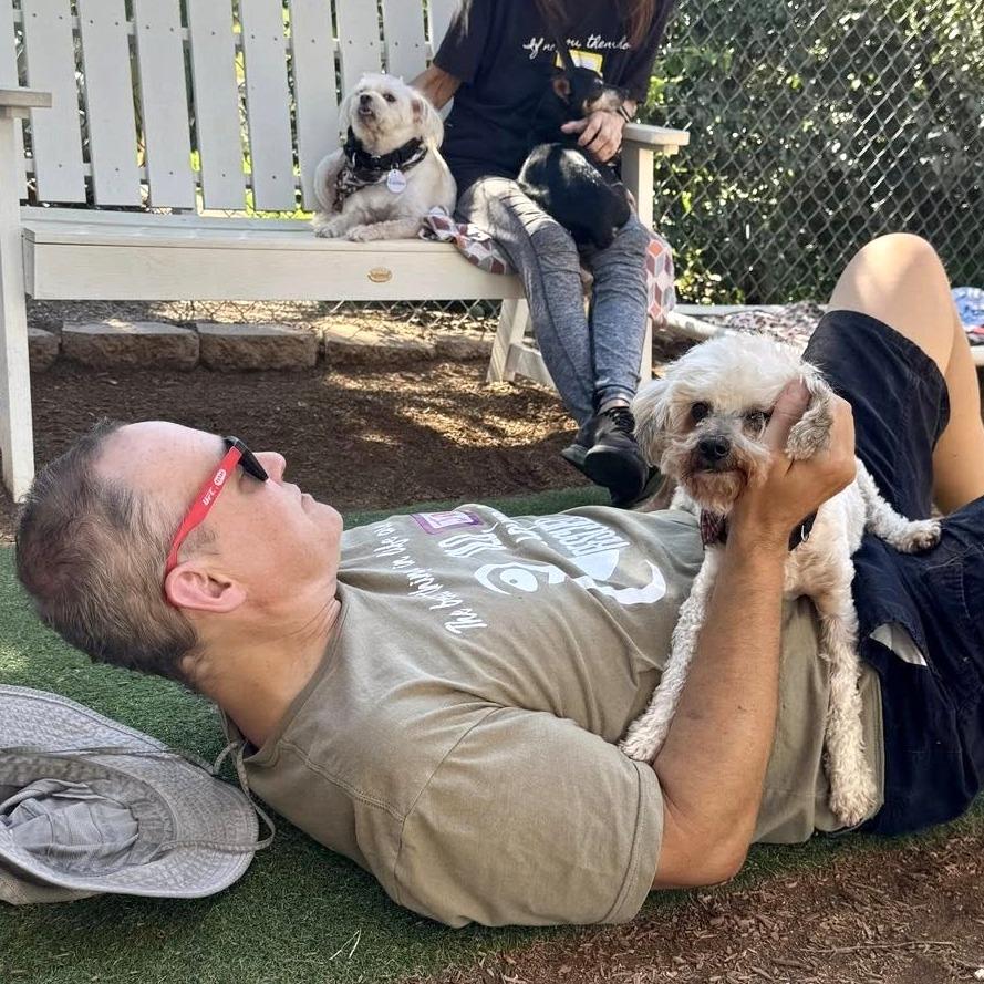 Bentley — thumbnail 6