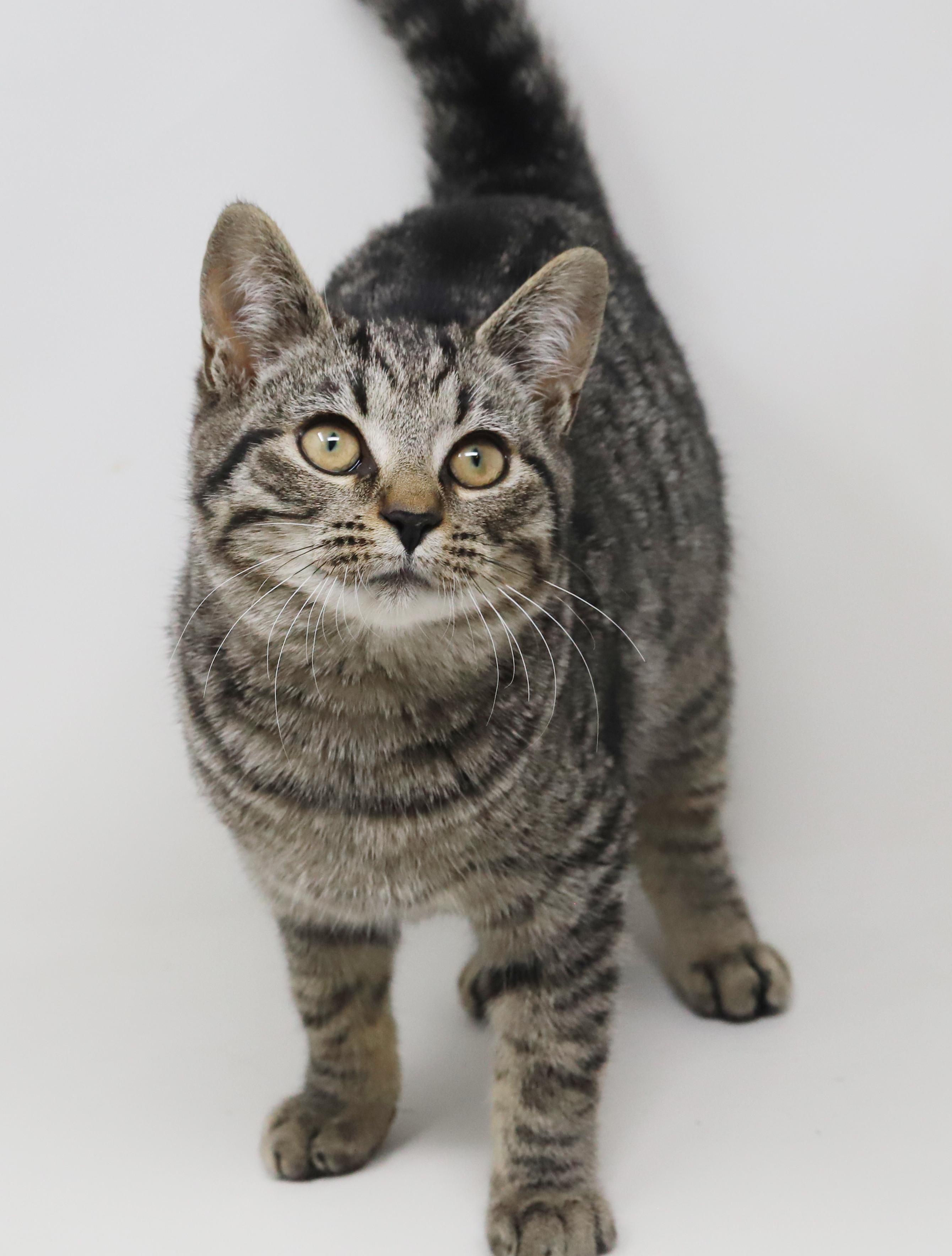 Doc - she's a dorky doofy sweetie!  OLD ENOUGH TO GO SOLO TOO