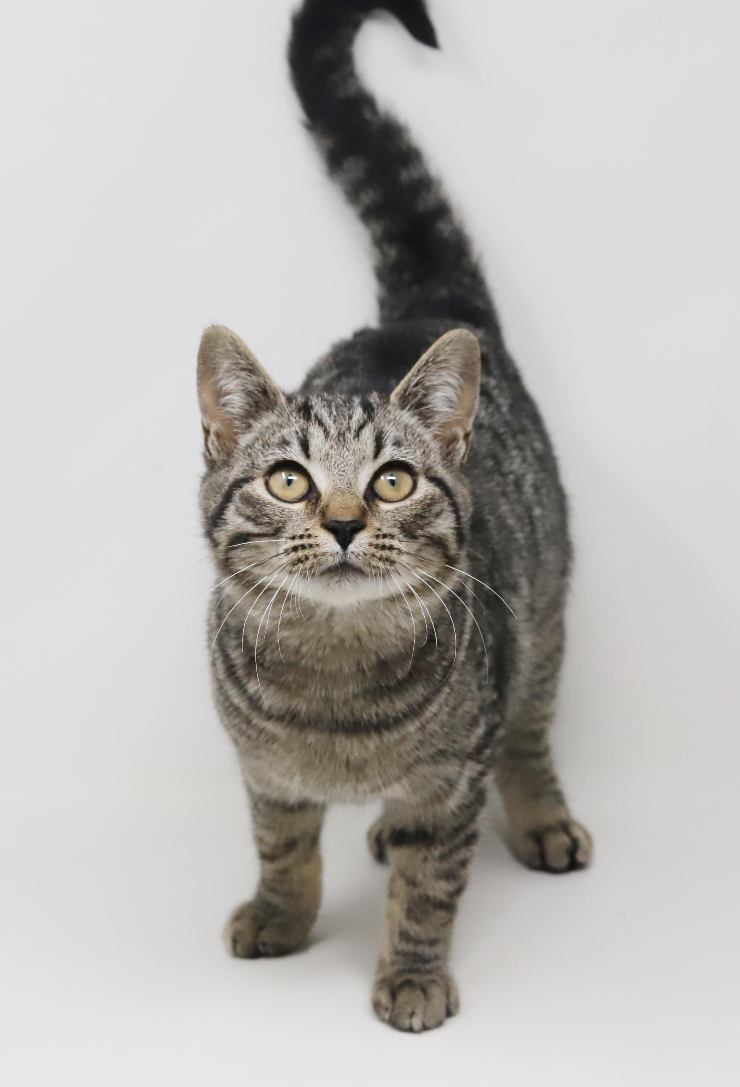 Doc - she's a dorky doofy sweetie!  OLD ENOUGH TO GO SOLO TOO