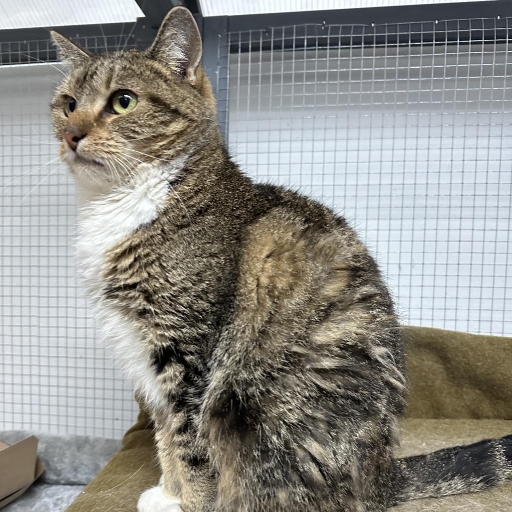 Beanie — thumbnail 3