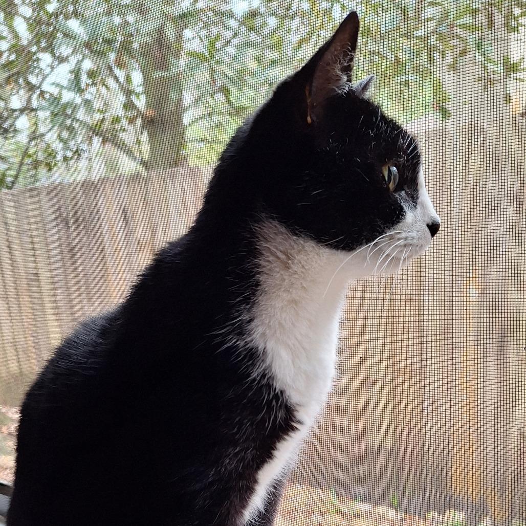 Eleanor — thumbnail 3