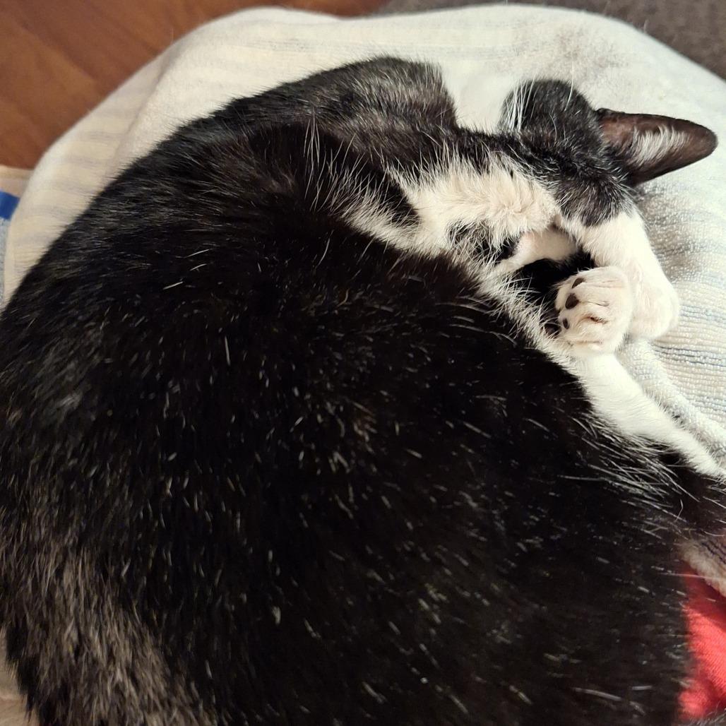 Eleanor — thumbnail 6