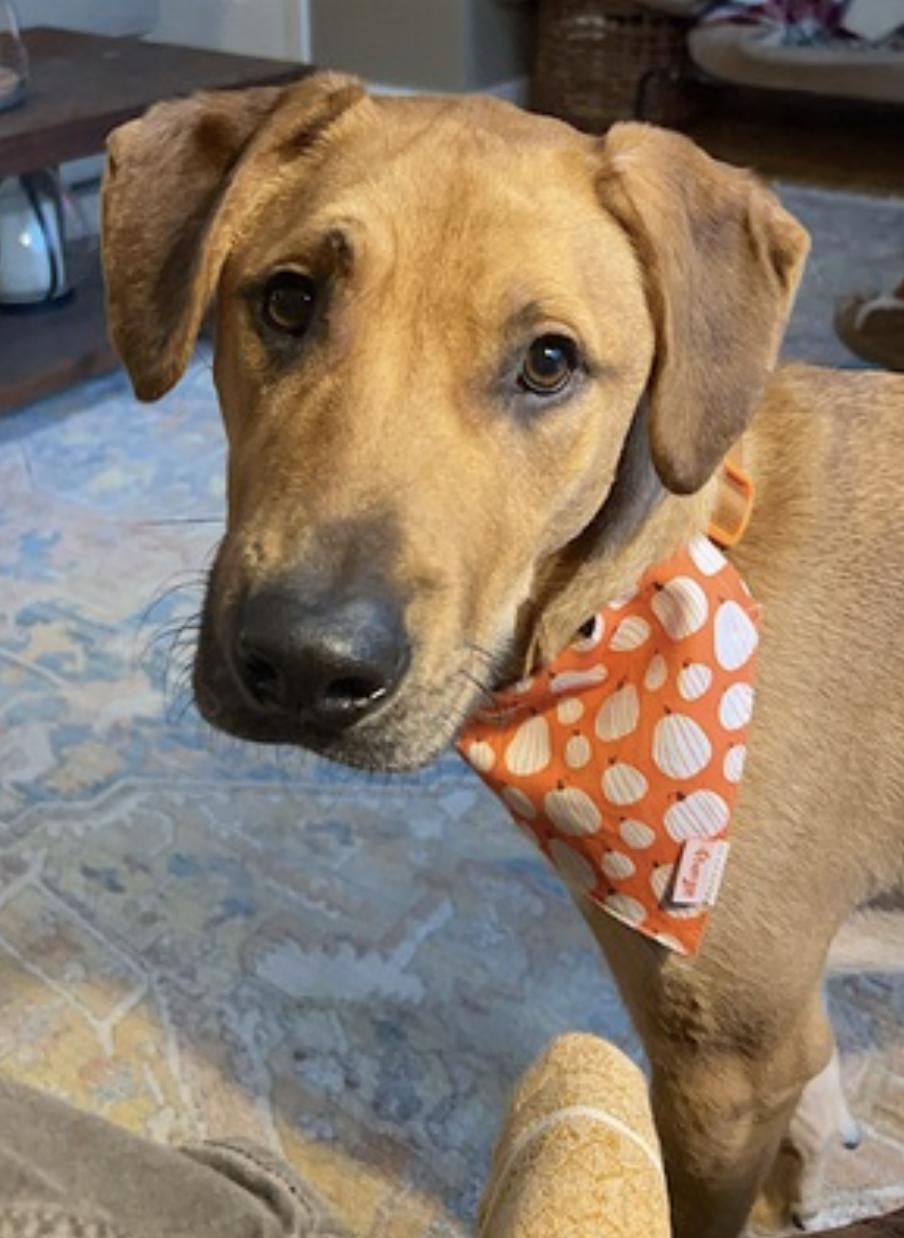 Murphy — thumbnail 5