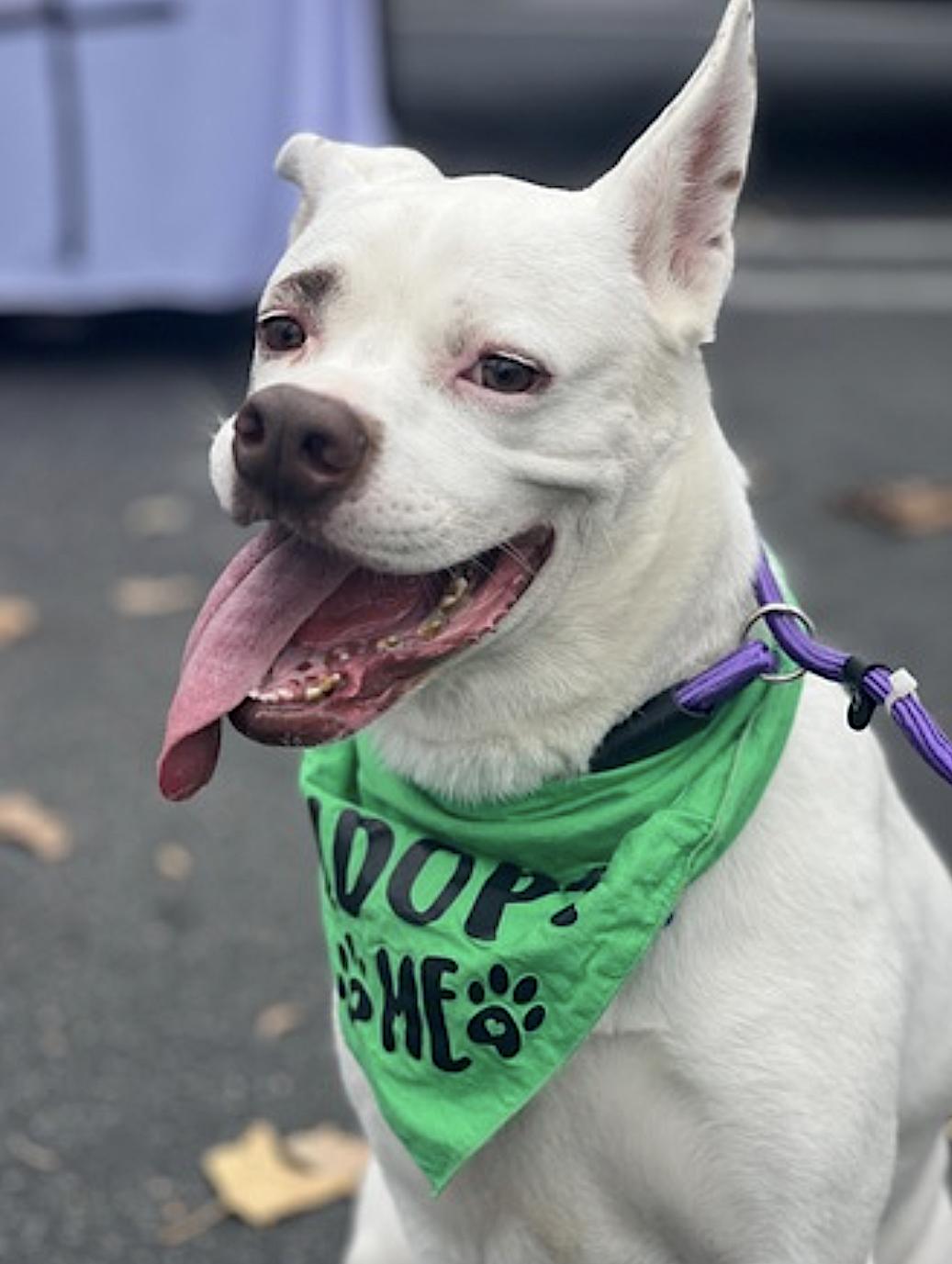 Boots — thumbnail 4