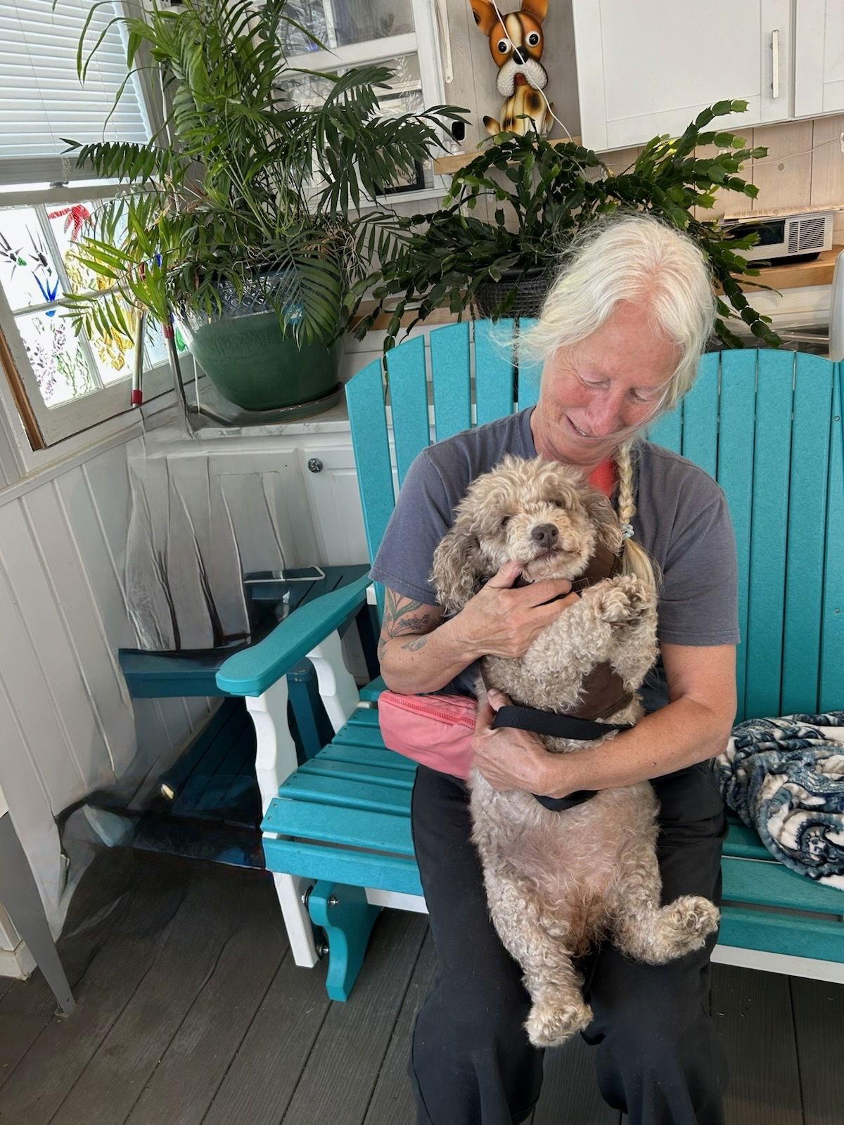 Coco Apr 25 - In Foster in Rocky Mount, NC, a Adopted Poodle in Pacolet, SC image 1/3