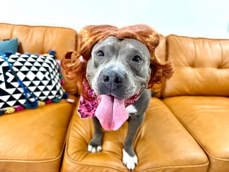 Thea Pretty Baby Loves Her Humans — thumbnail 5