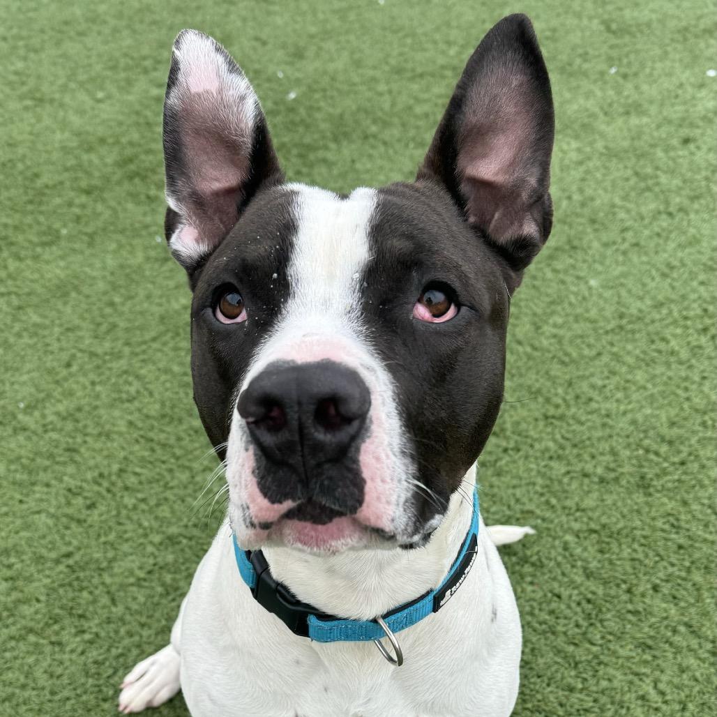 Carl — thumbnail 3