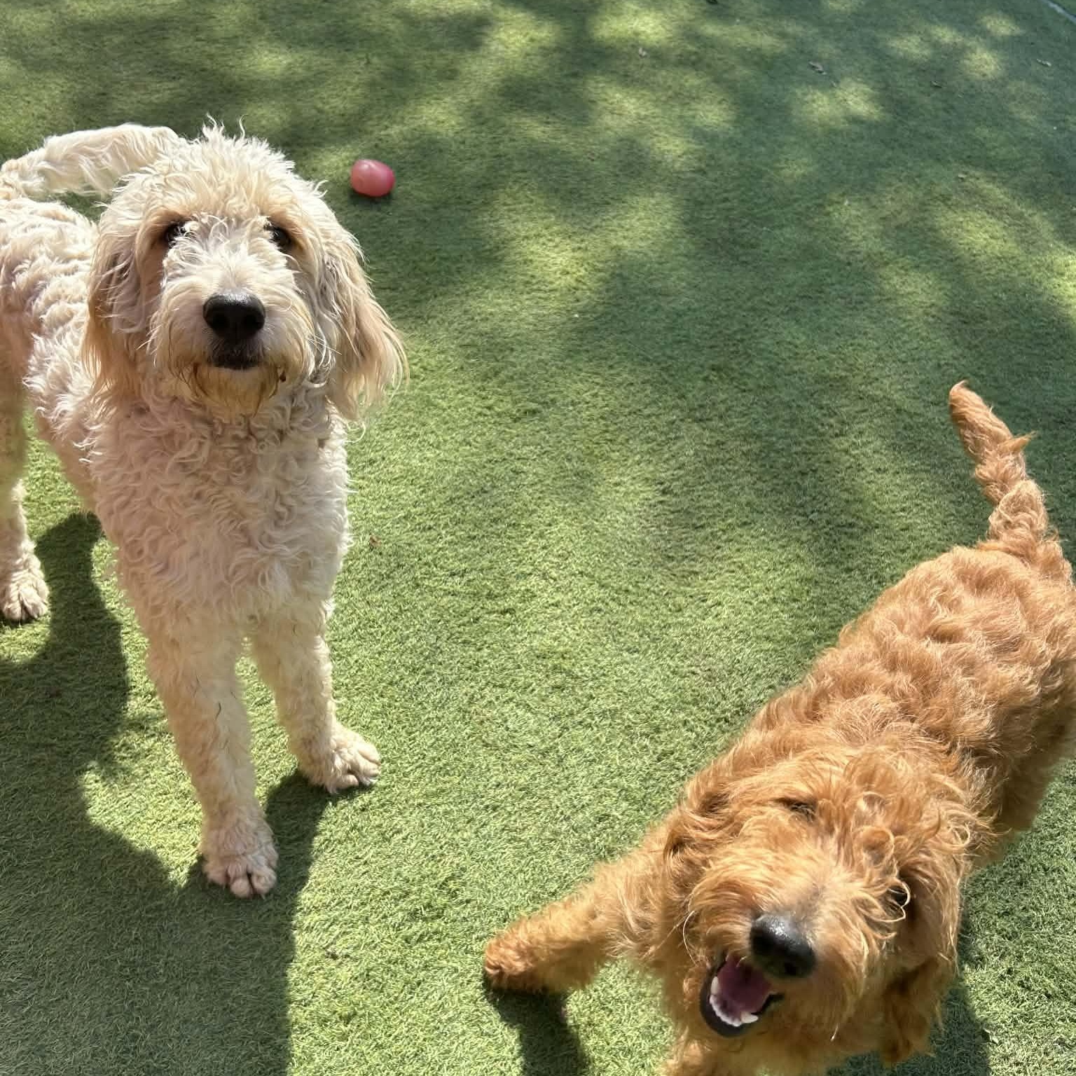 Remington thumbnail 3