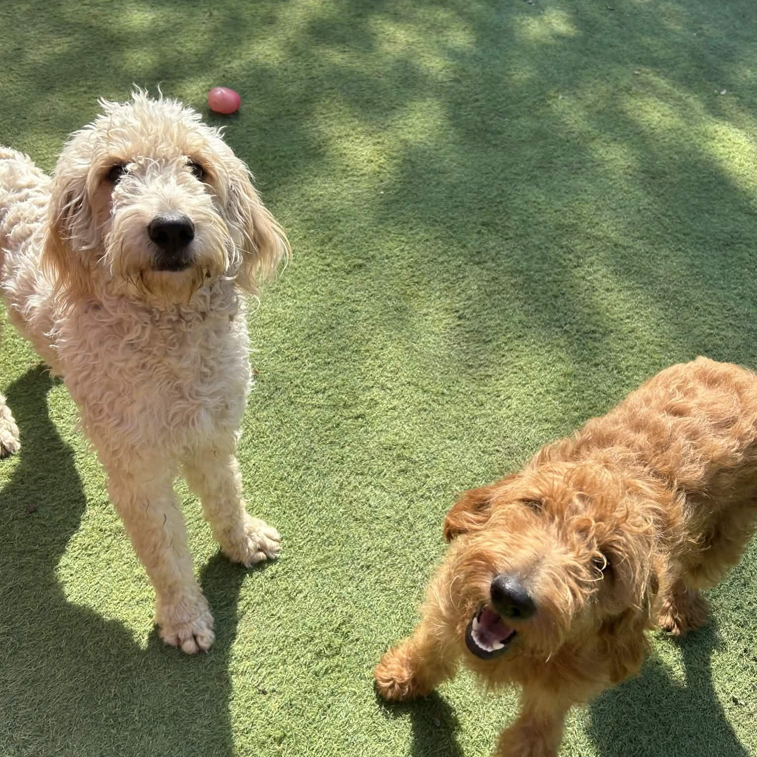 Remington thumbnail 5