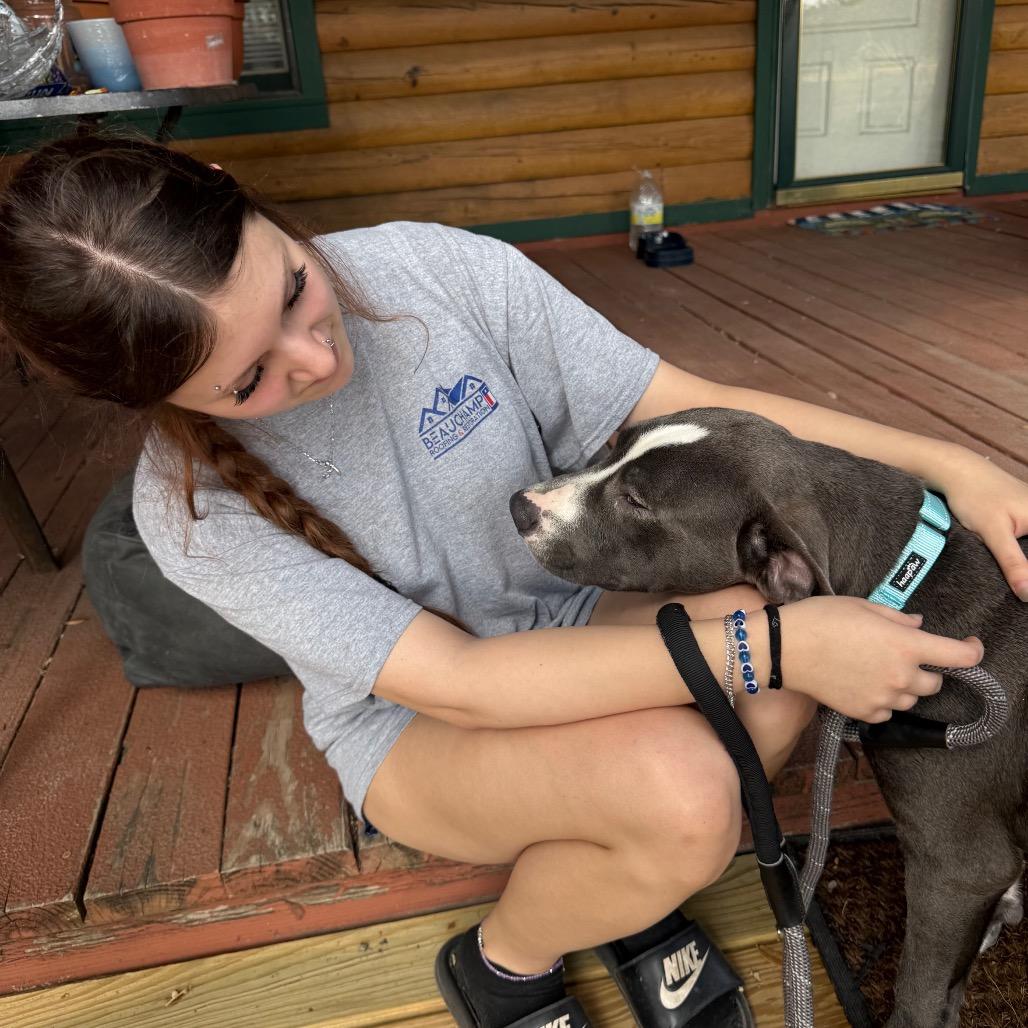 Enlarge Dax, a Adoptable mixed breed in San Antonio, TX image 4/6