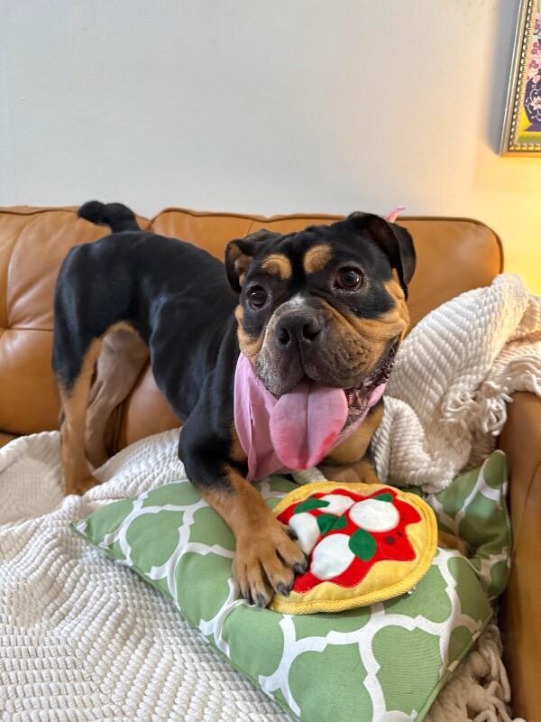 Iris Moon — thumbnail 3