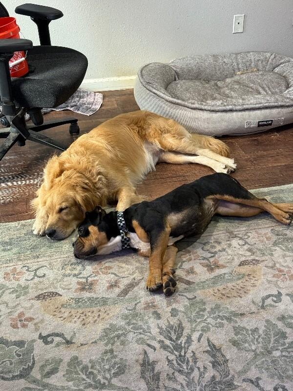 Iris Moon — thumbnail 5