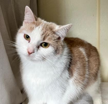 Tammy — thumbnail 2