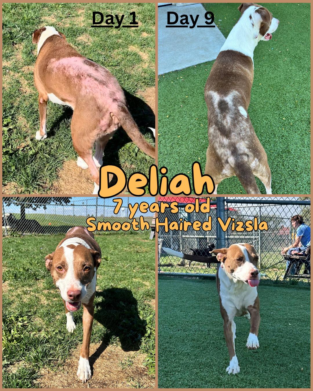 Deliah
