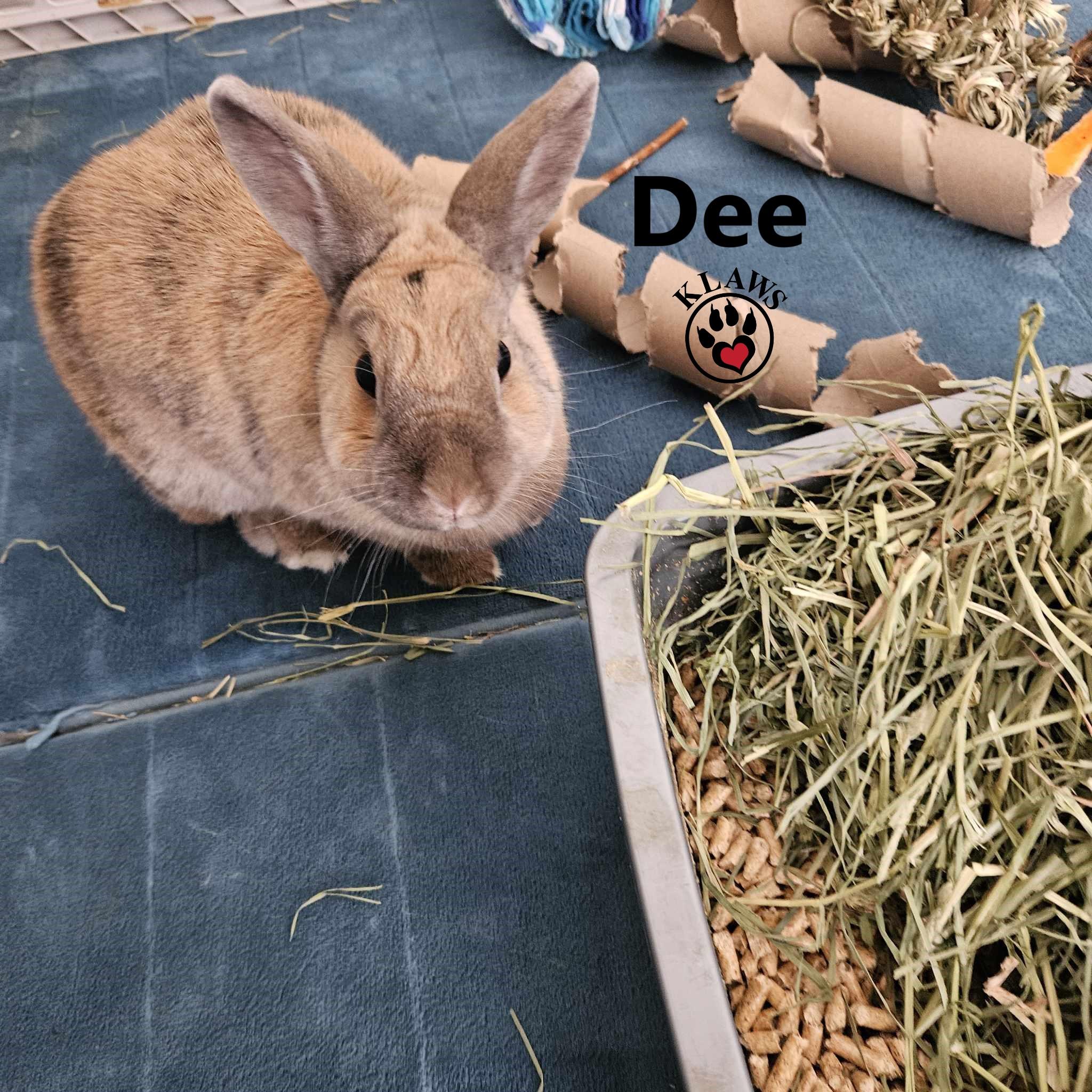 Dee