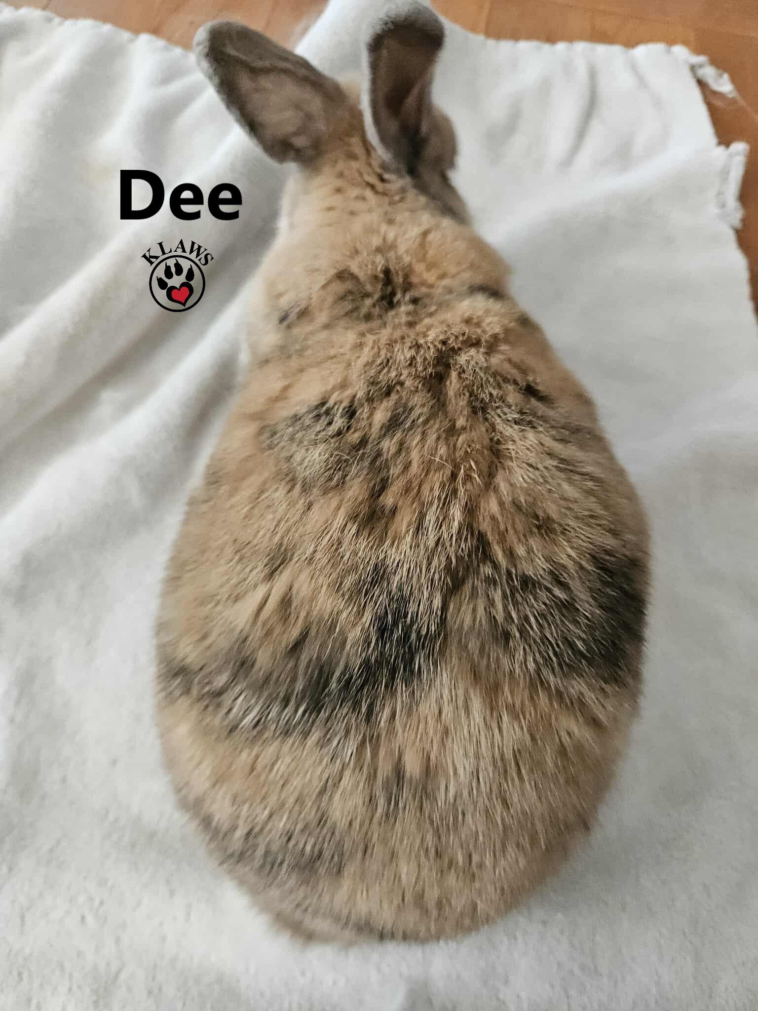 Dee