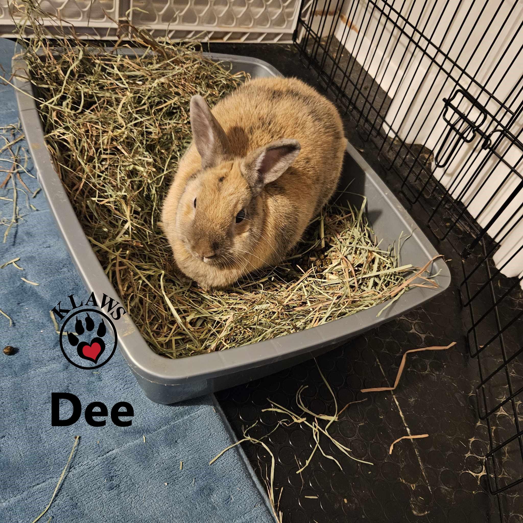 Dee