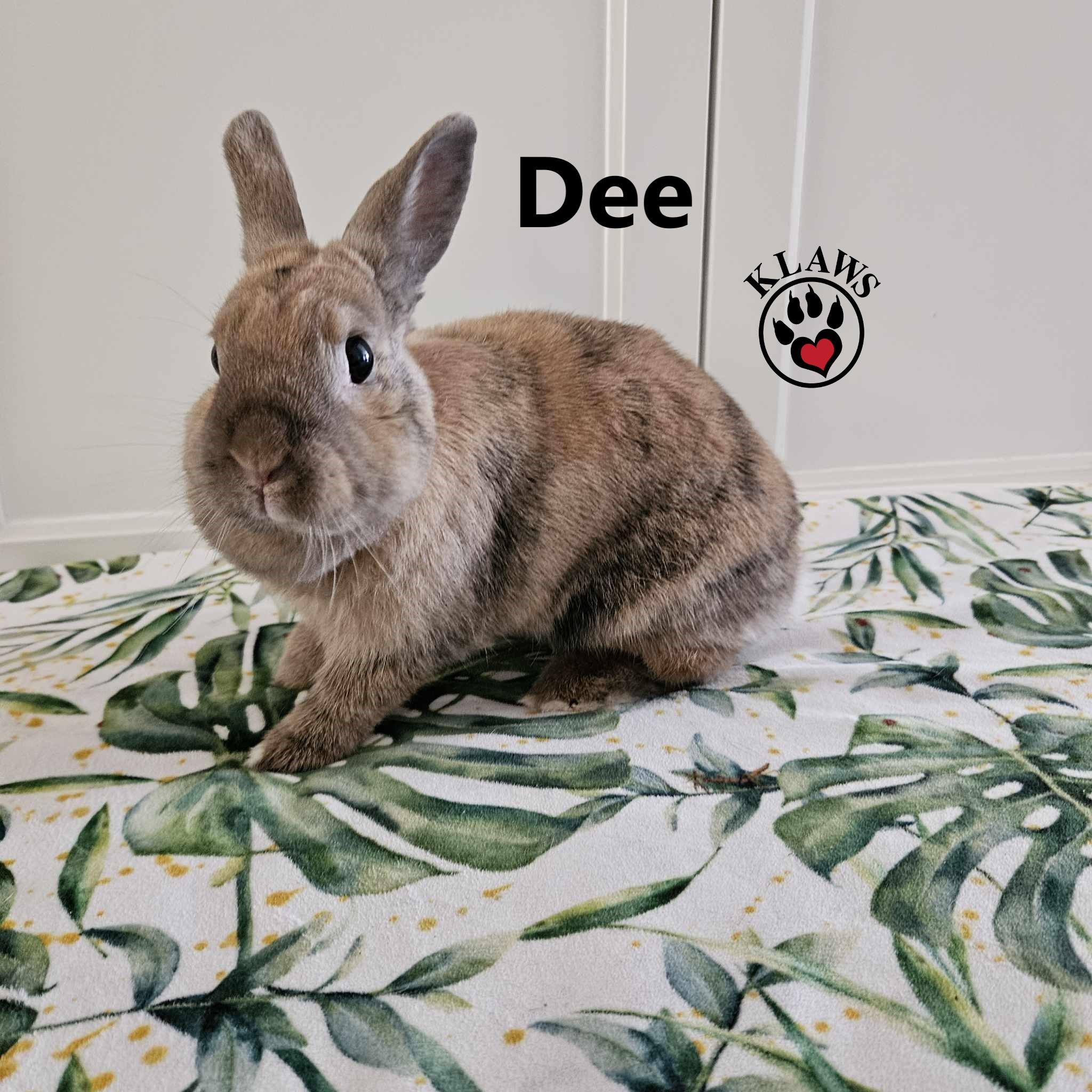 Dee
