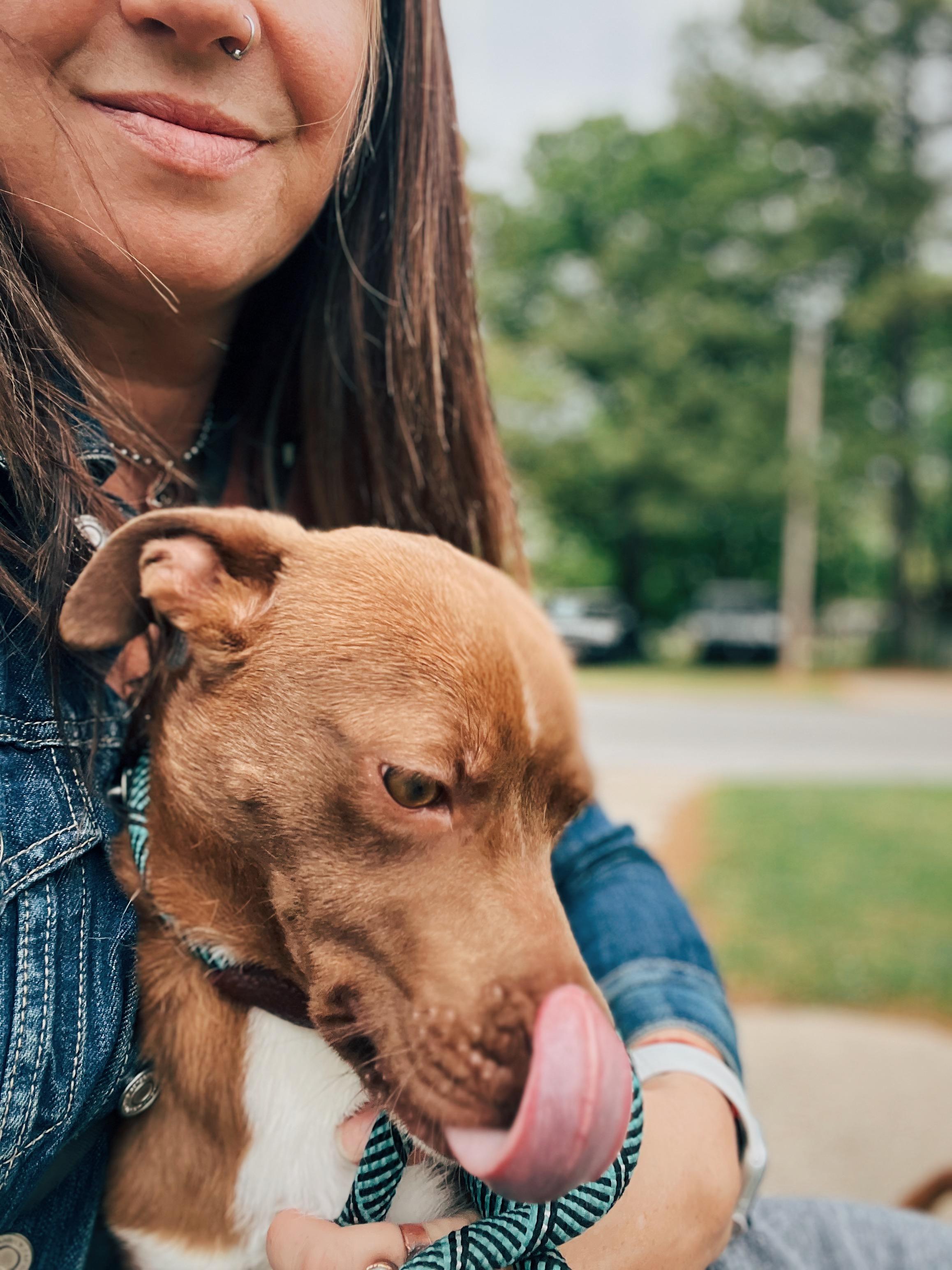 Enlarge Wally, an adoptable mixed breed in Okmulgee, OK image 6/6