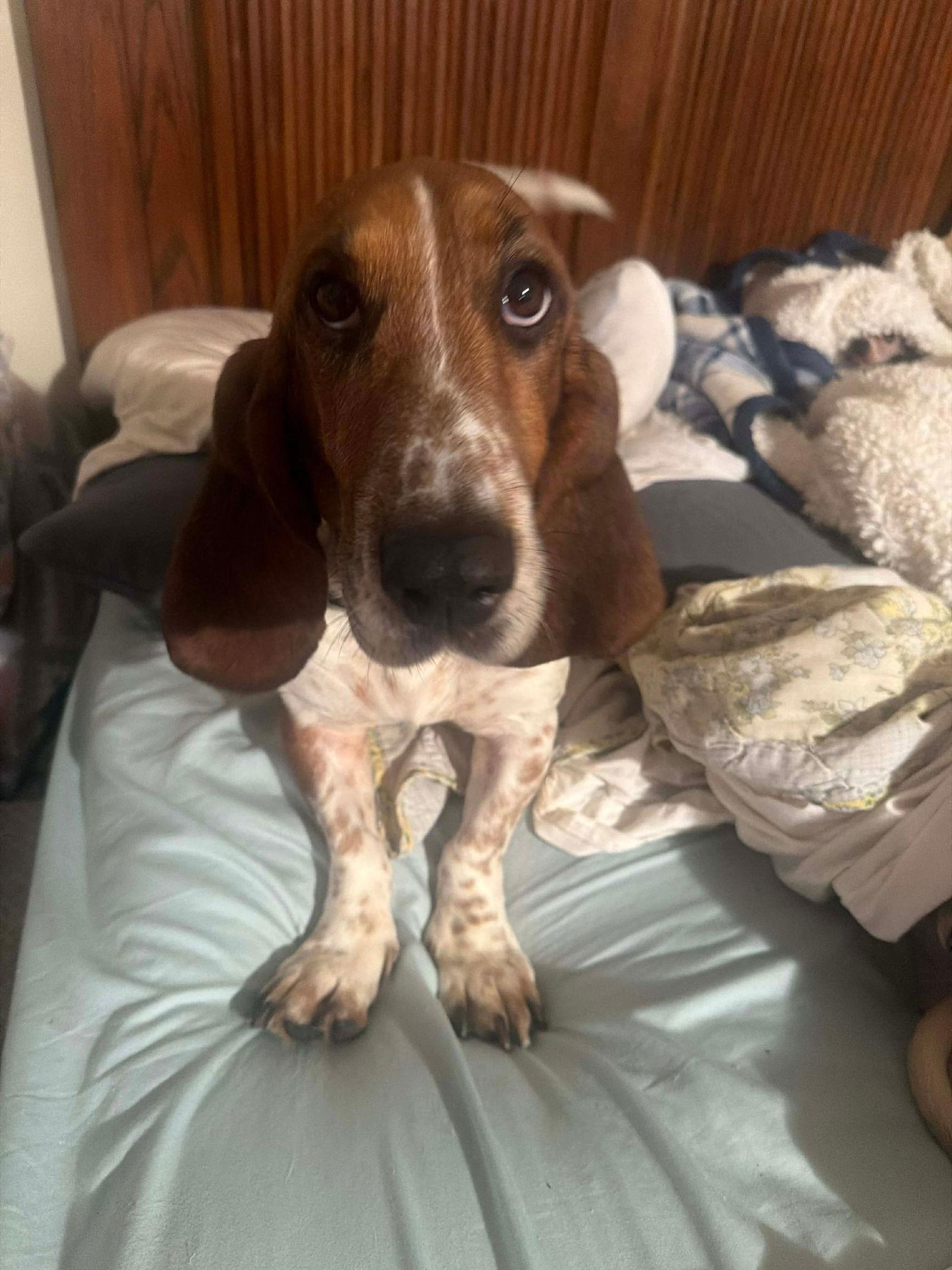 Daisy Duke thumbnail 3