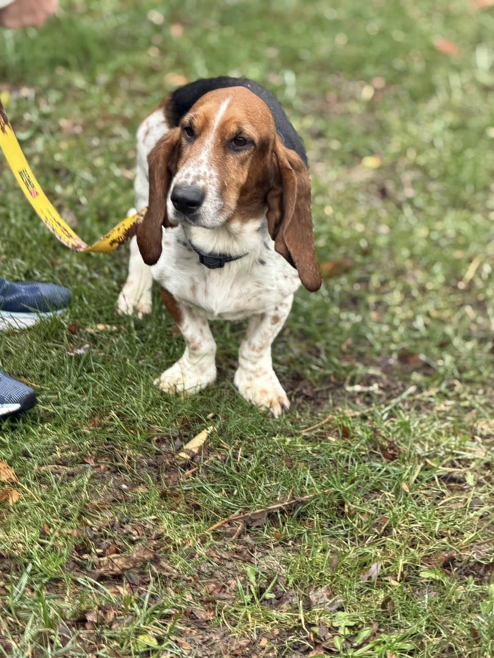 Daisy Duke thumbnail 4