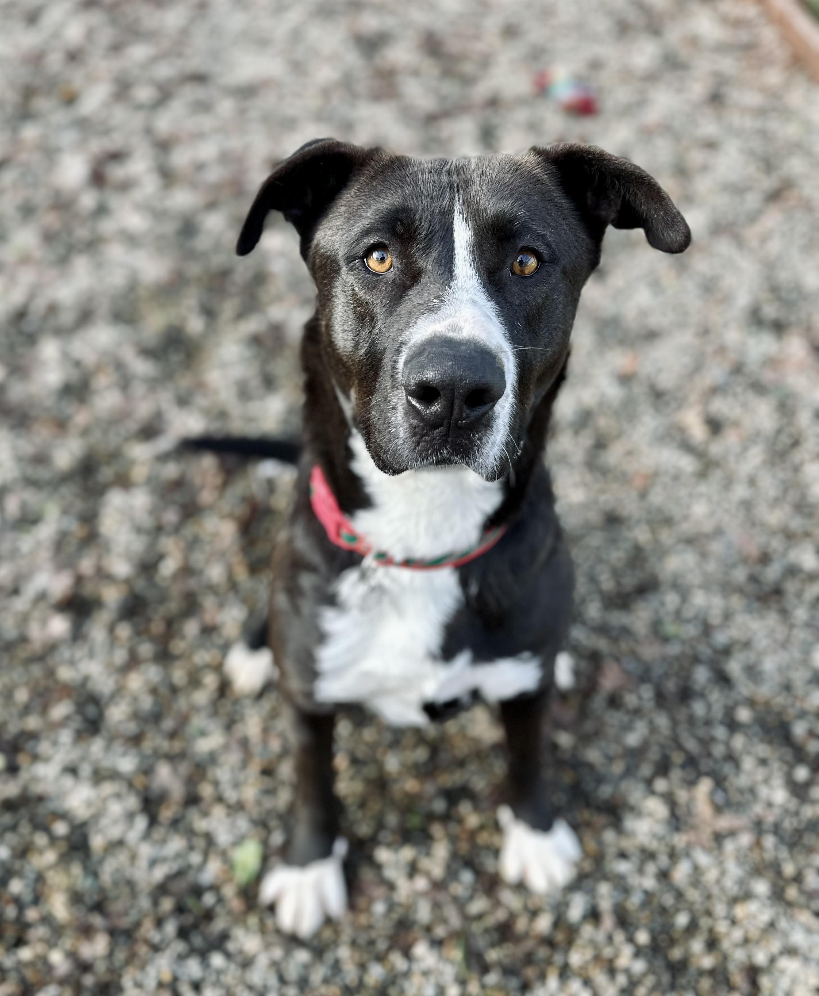 Marvin 0125 — thumbnail 2