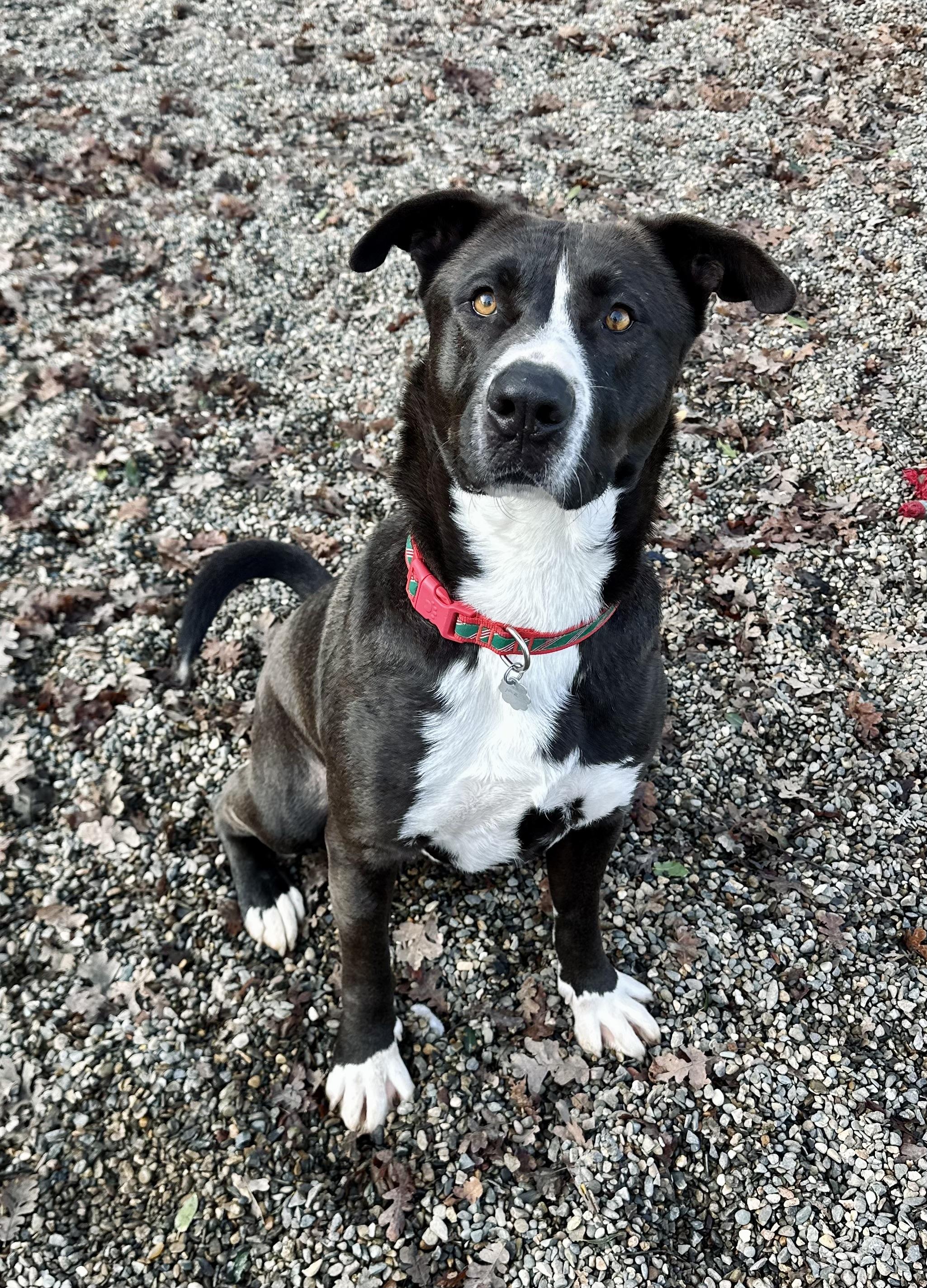 Marvin 0125 — thumbnail 3