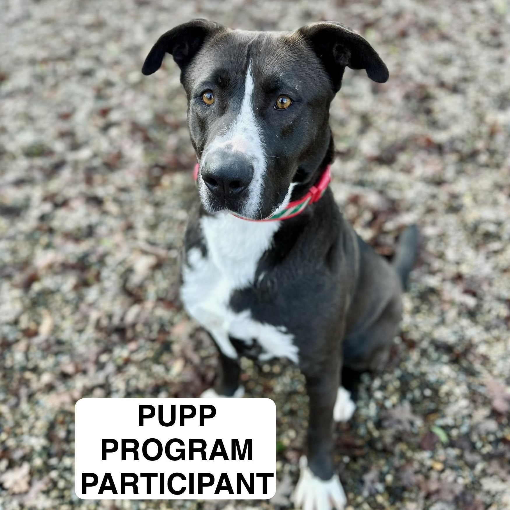 Marvin 0125 — thumbnail 4