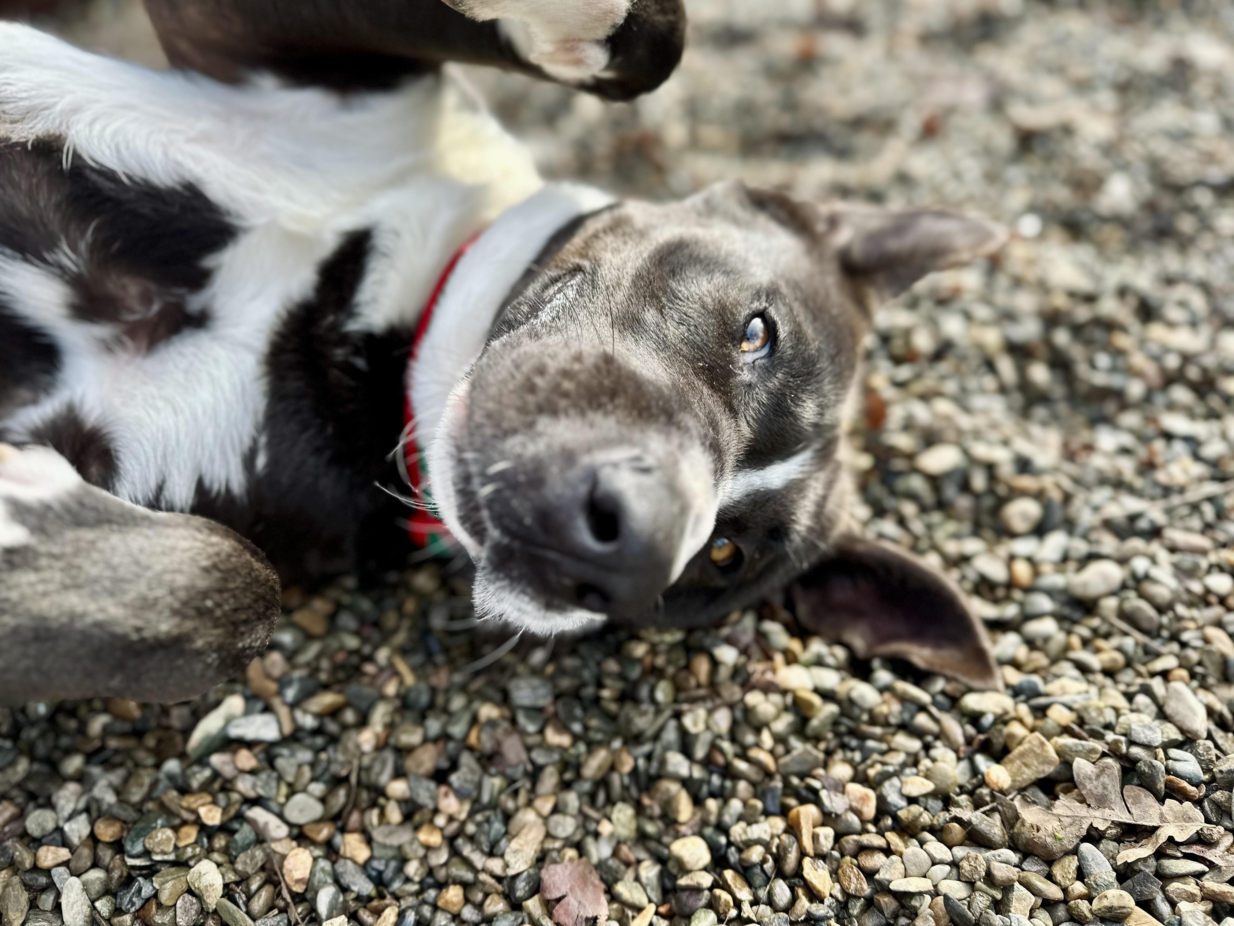 Marvin 0125 — thumbnail 5