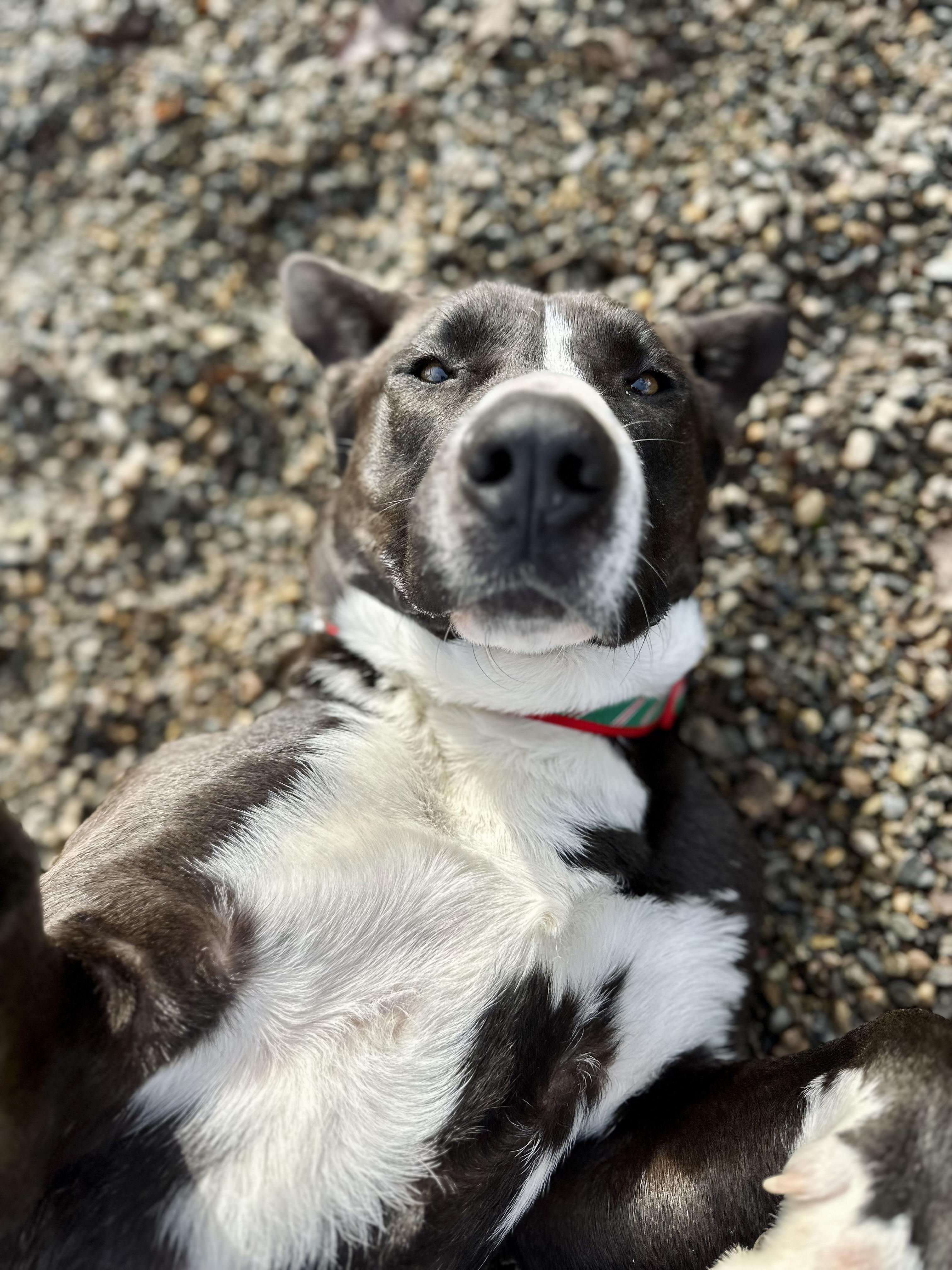 Marvin 0125 — thumbnail 6