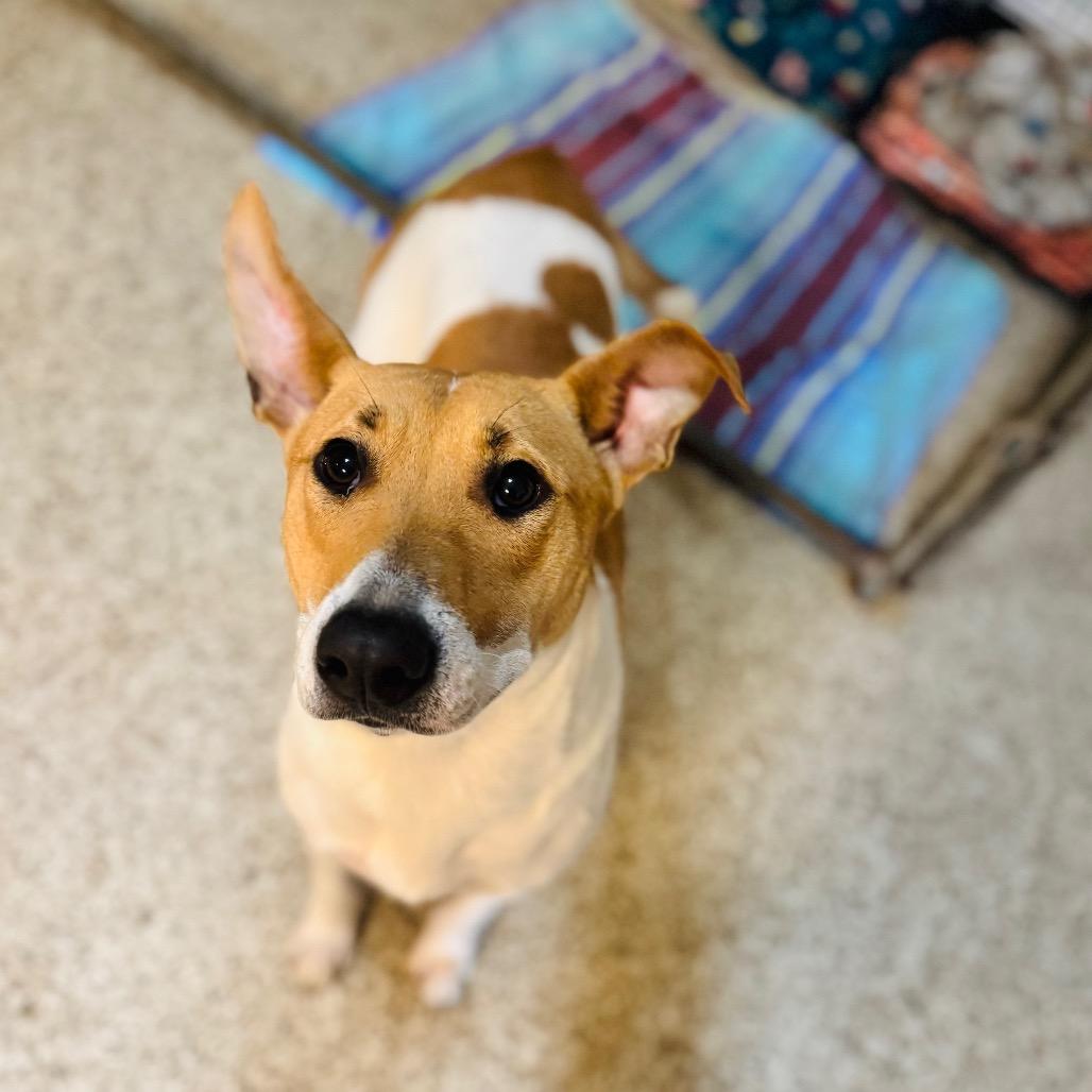 Nicole — thumbnail 2