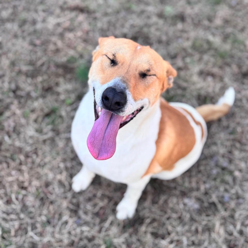 Nicole — thumbnail 5