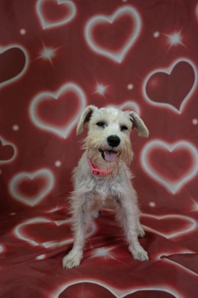 Penny — thumbnail 4